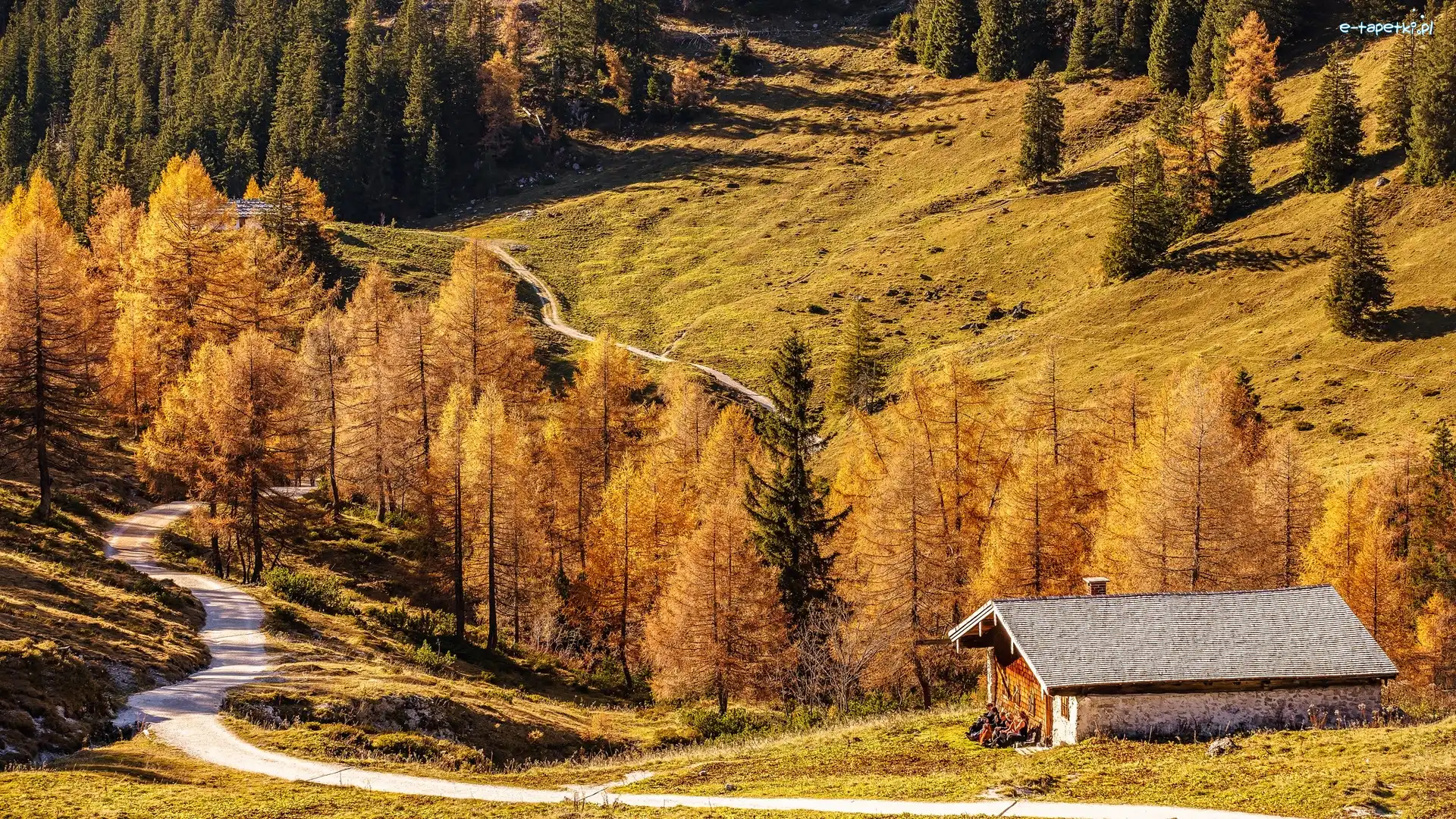 Droga, Góry, Niemcy, Bawaria, Dom, Drzewa, Berchtesgaden, Jesień