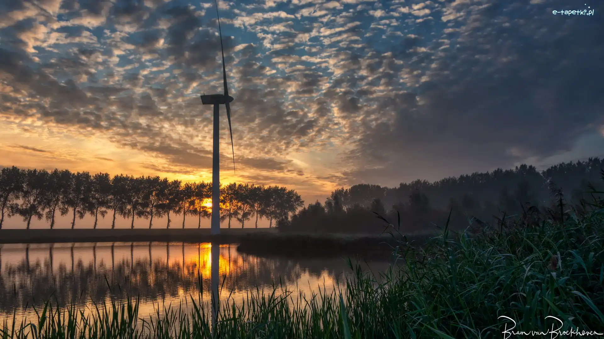 Holandia, Chmury, Wiatrak, Wschód słońca, Rzeka Haringvliet, Middelharnis, Drzewa