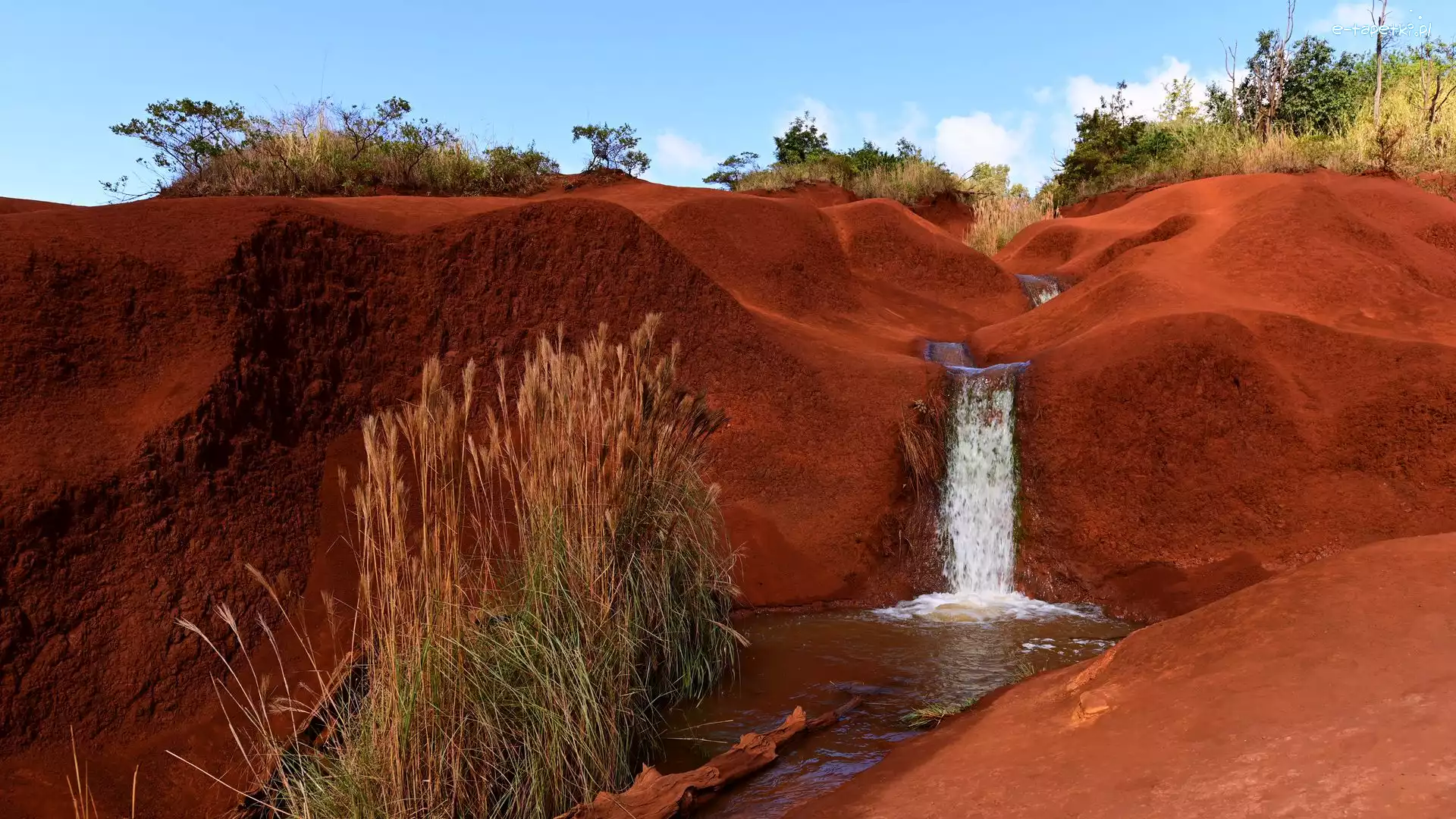Wyspa Kauai, Red Dirt Waterfall, Stany Zjednoczone, Rzeka, Skały bazaltowe, Kanion Waimea, Trawa, Wodospad, Czerwone, Hawaje