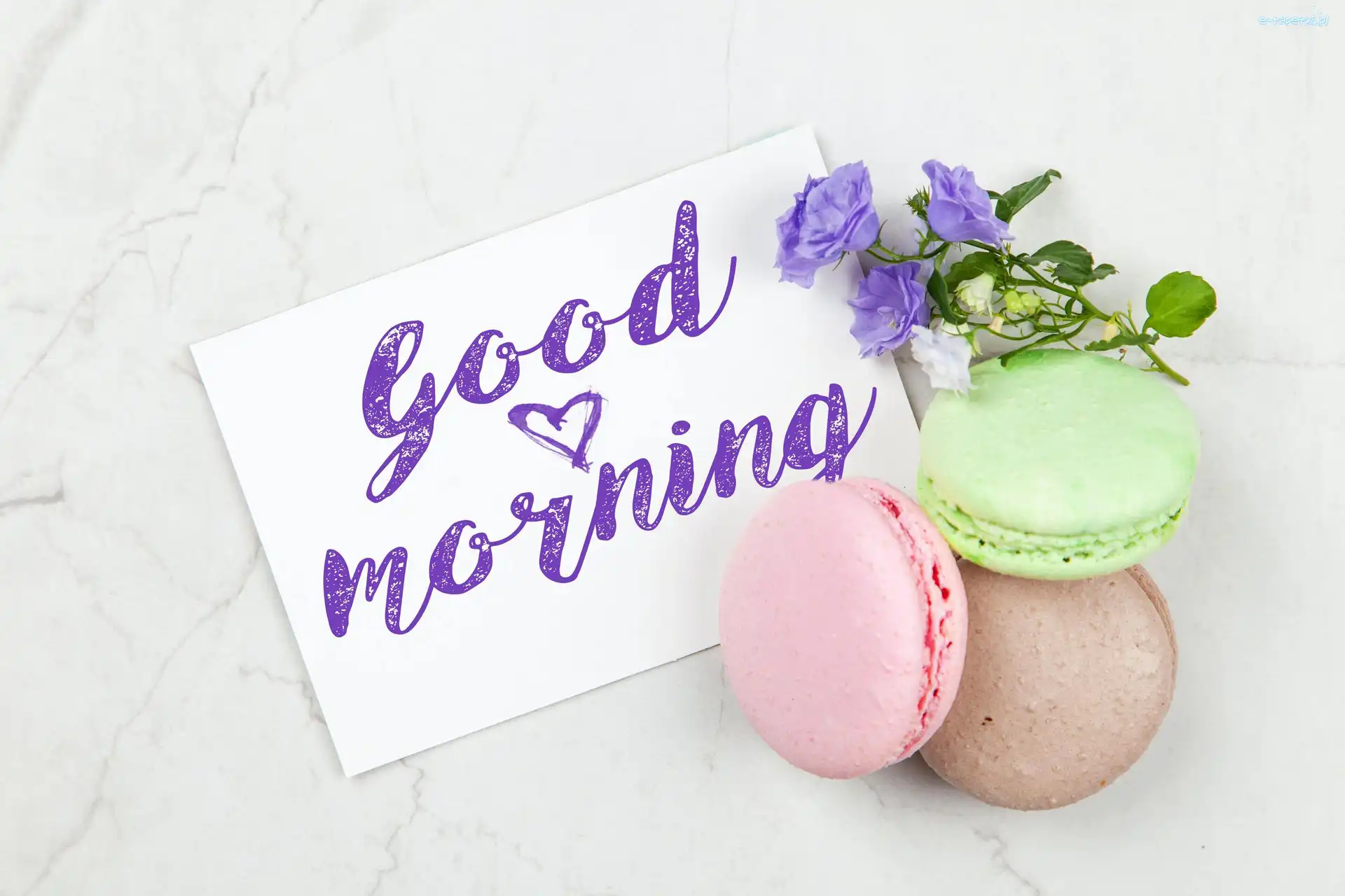 Kwiatki, Ciasteczka, Makaroniki, Przywitanie, Good Morning, Napis
