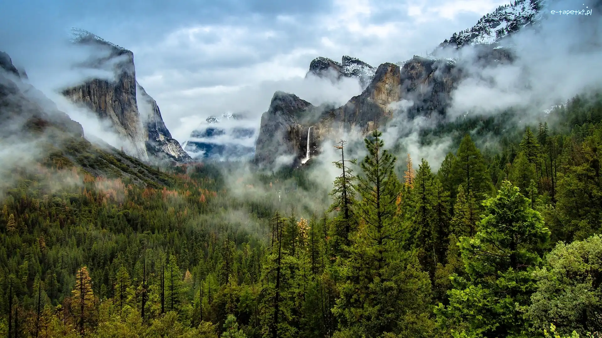 Góry, Kalifornia, Mgła, Dolina, Park Narodowy Yosemite, Skały, Drzewa, Stany Zjednoczone