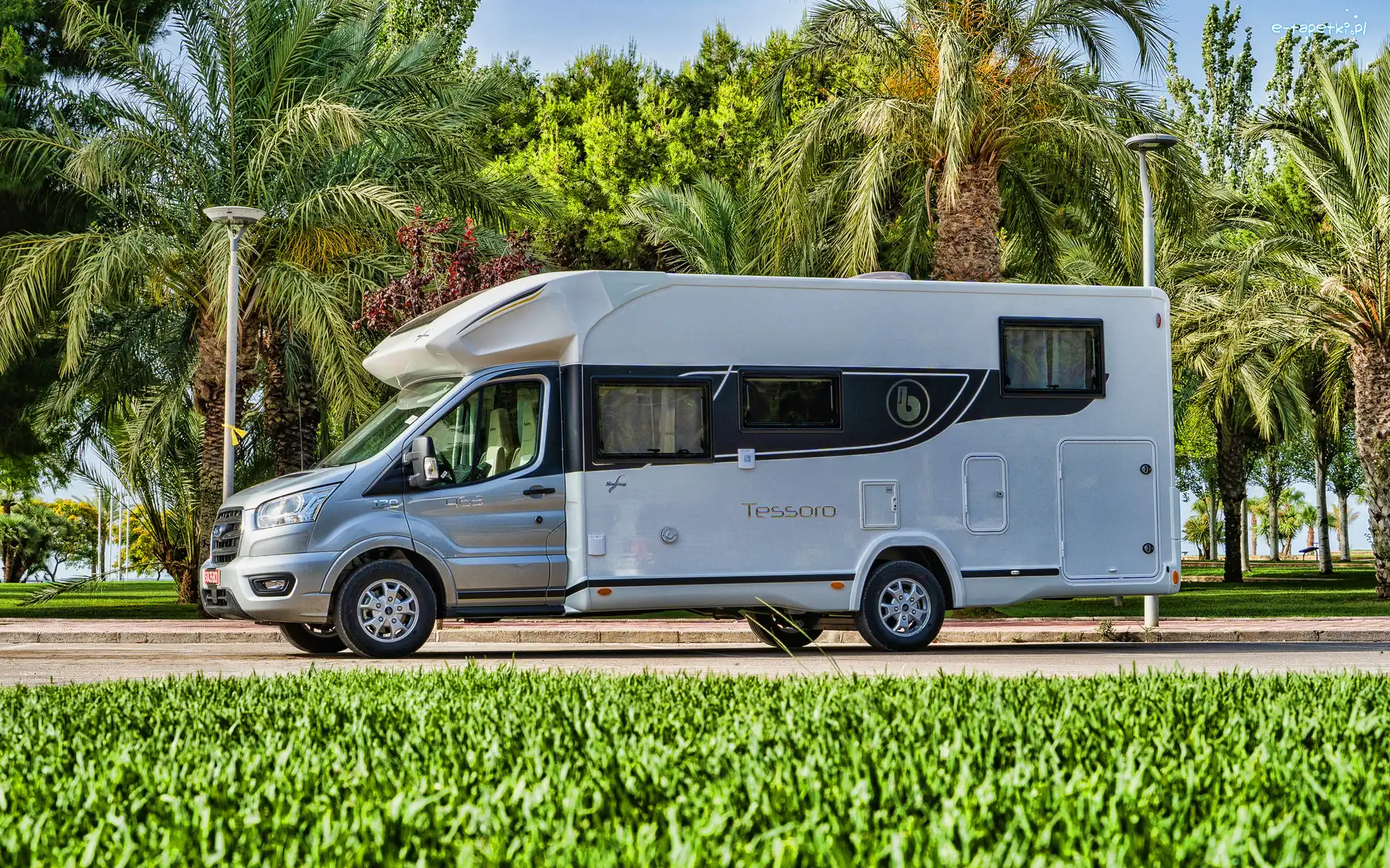 Benimar Tessoro 463 NK, Kamper