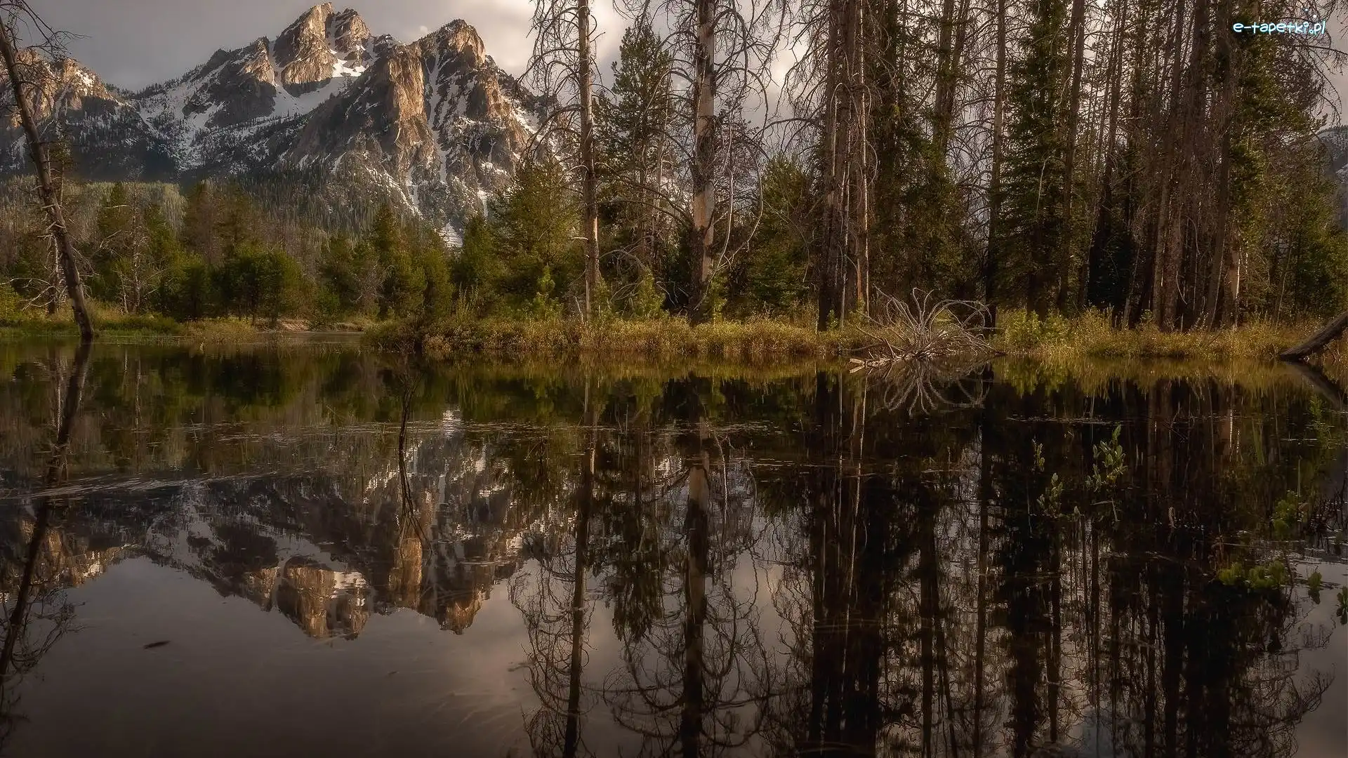 Potok, Góra, Sawtooth Range, Drzewa, Odbicie, Stan Idaho, McGown Peak, Rośliny, Stanley Creek, Stany Zjednoczone, Rzeka, Góry