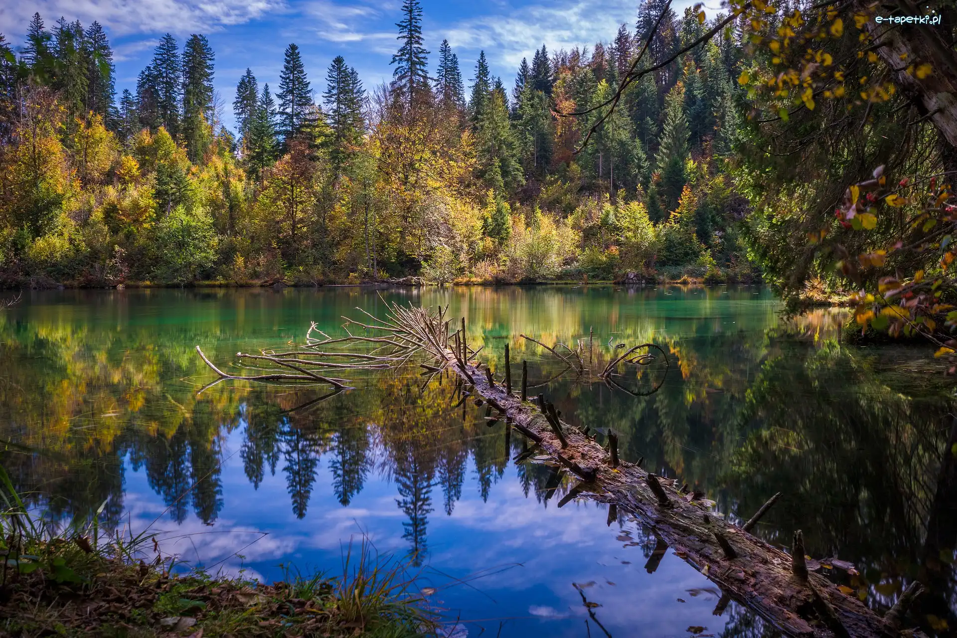 Konar, Góry, Jezioro, Kanton Gryzonia, Szwajcaria, Drzewa, Lake Cresta
