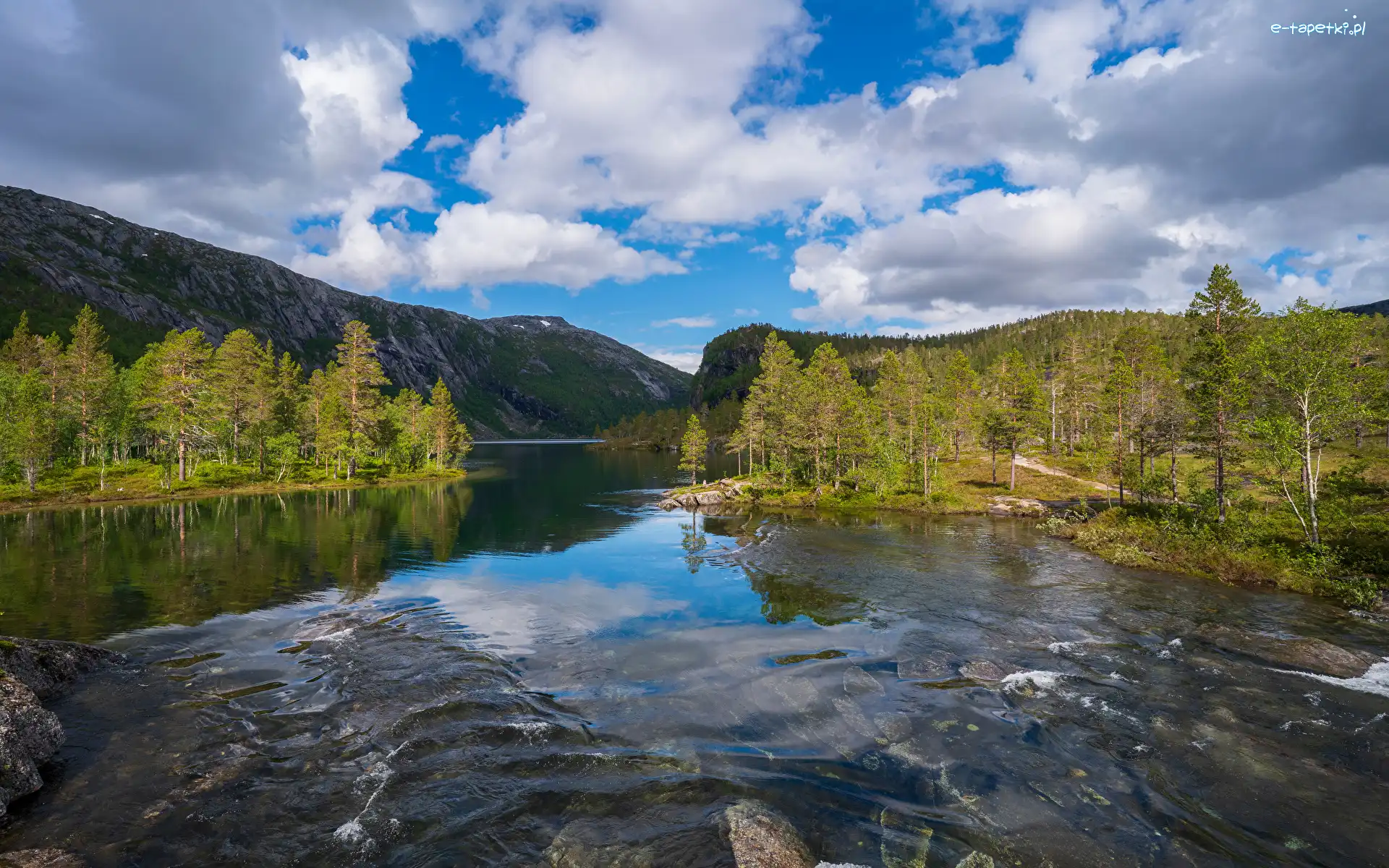 Kamienie, Rzeka, Park Narodowy Rago, Nordland, Norwegia, Chmury, Drzewa, Góry, Las