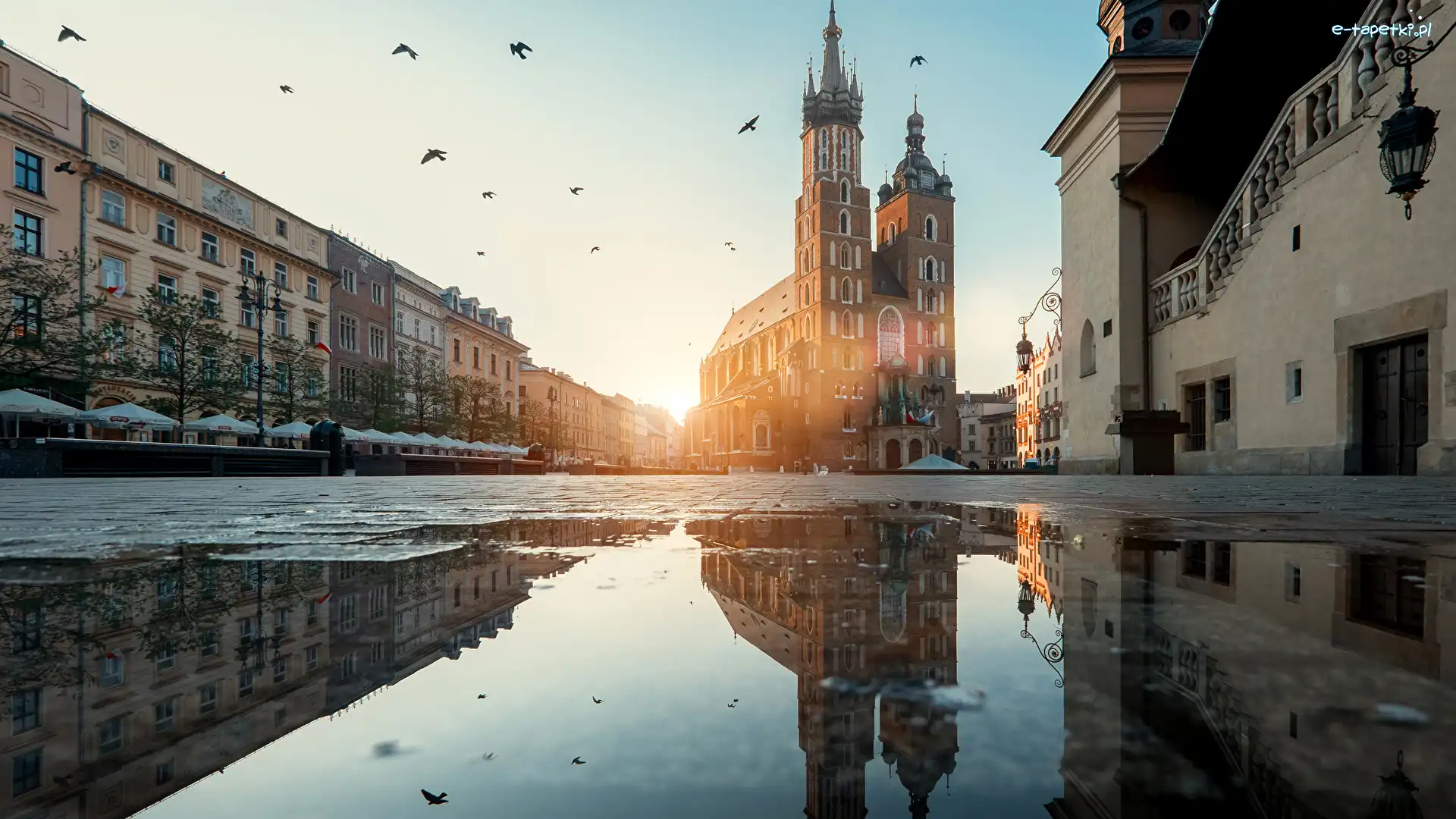 Kałuża, Kościół Mariacki, Kamienice, Odbicie, Kraków, Polska