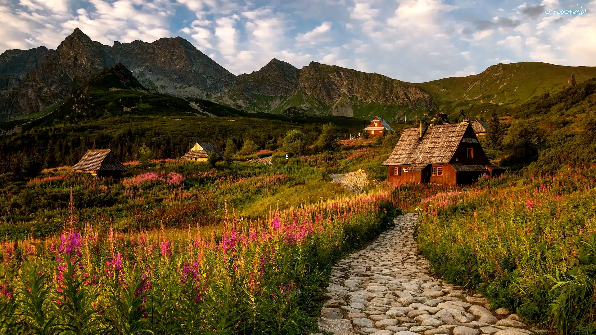 Wierzbówka kiprzyca, Tatry, Polska, Kwiaty, Droga, Domy, Drewniane, Góry, Hala Gąsienicowa, Tatrzański Park Narodowy