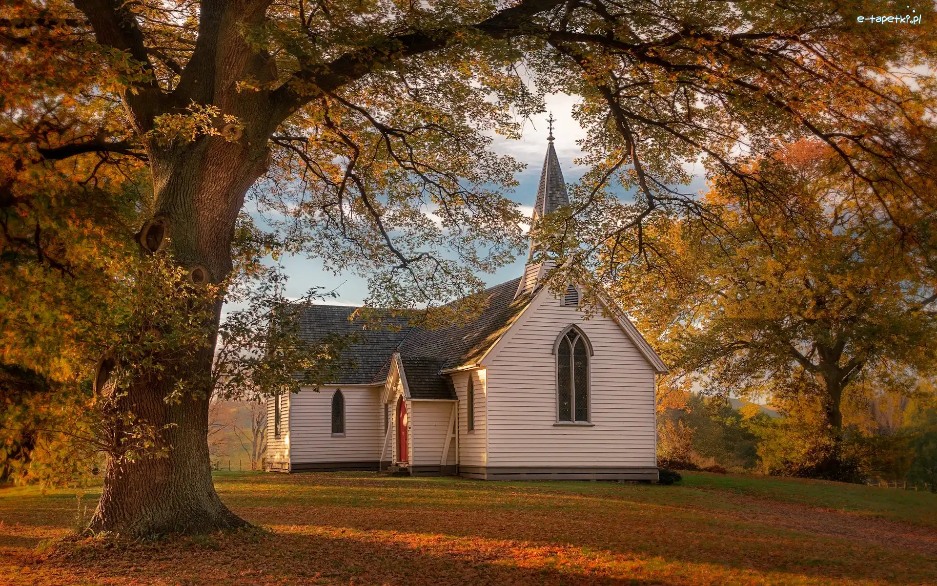 Nowa Zelandia, Kościół, Christ Church, Jesień, Drzewo, Region Hawkes Bay, Liście