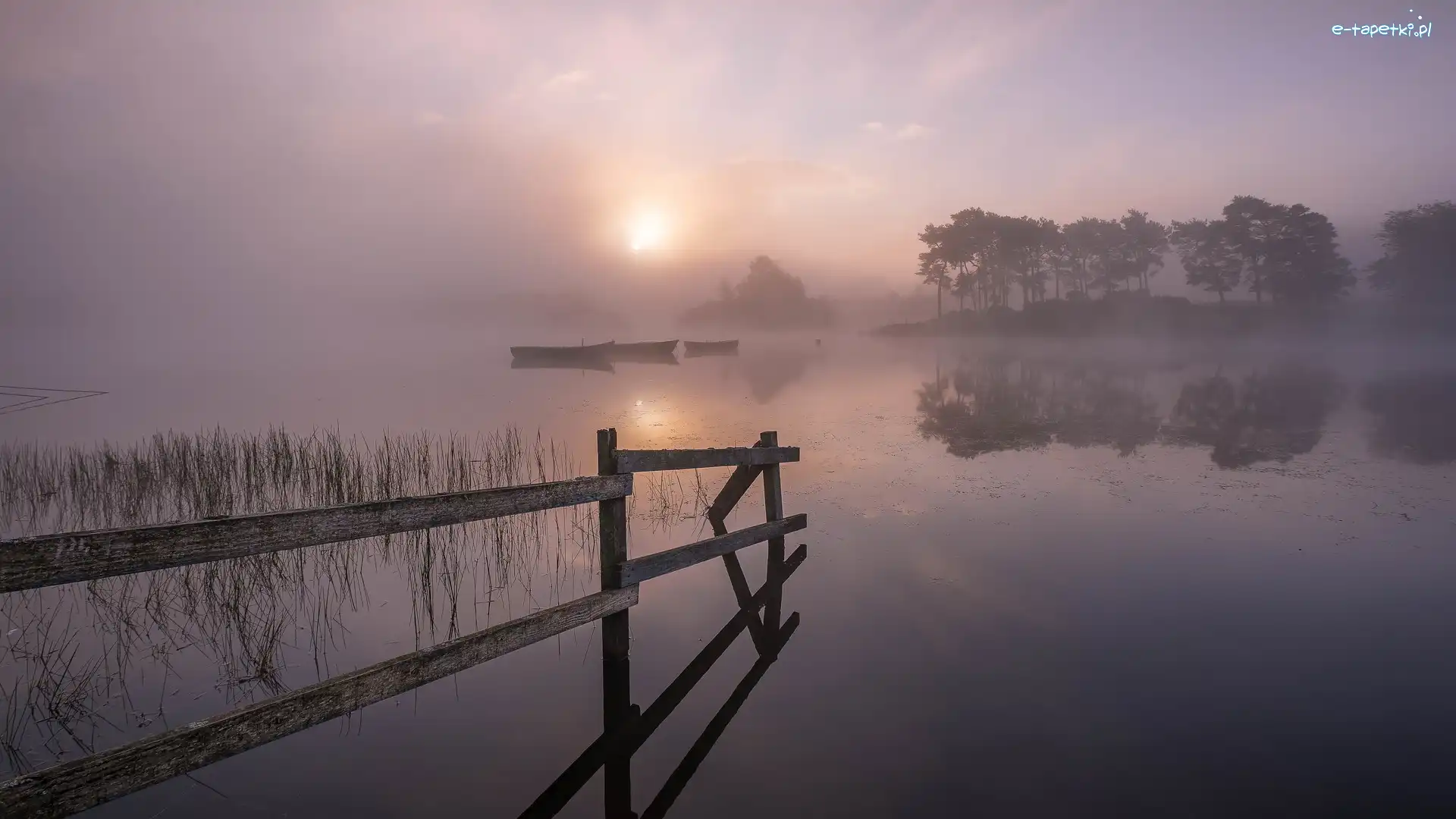 Szkocja, Drzewa, Wschód słońca, Knapps Loch, Jezioro, Mgła, Łódki