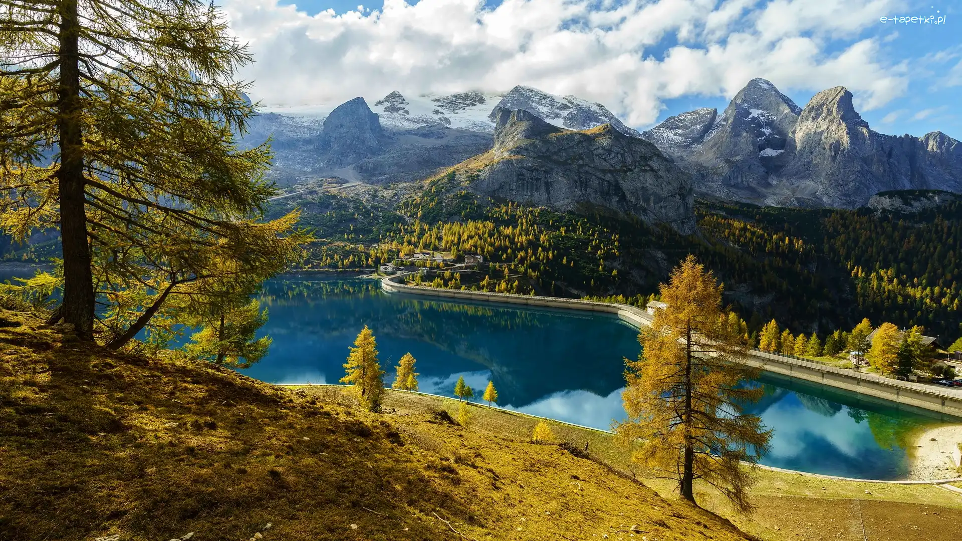 Prowincja Belluno, Góry, Drzewa, Włochy, Fedaia Lake, Jezioro