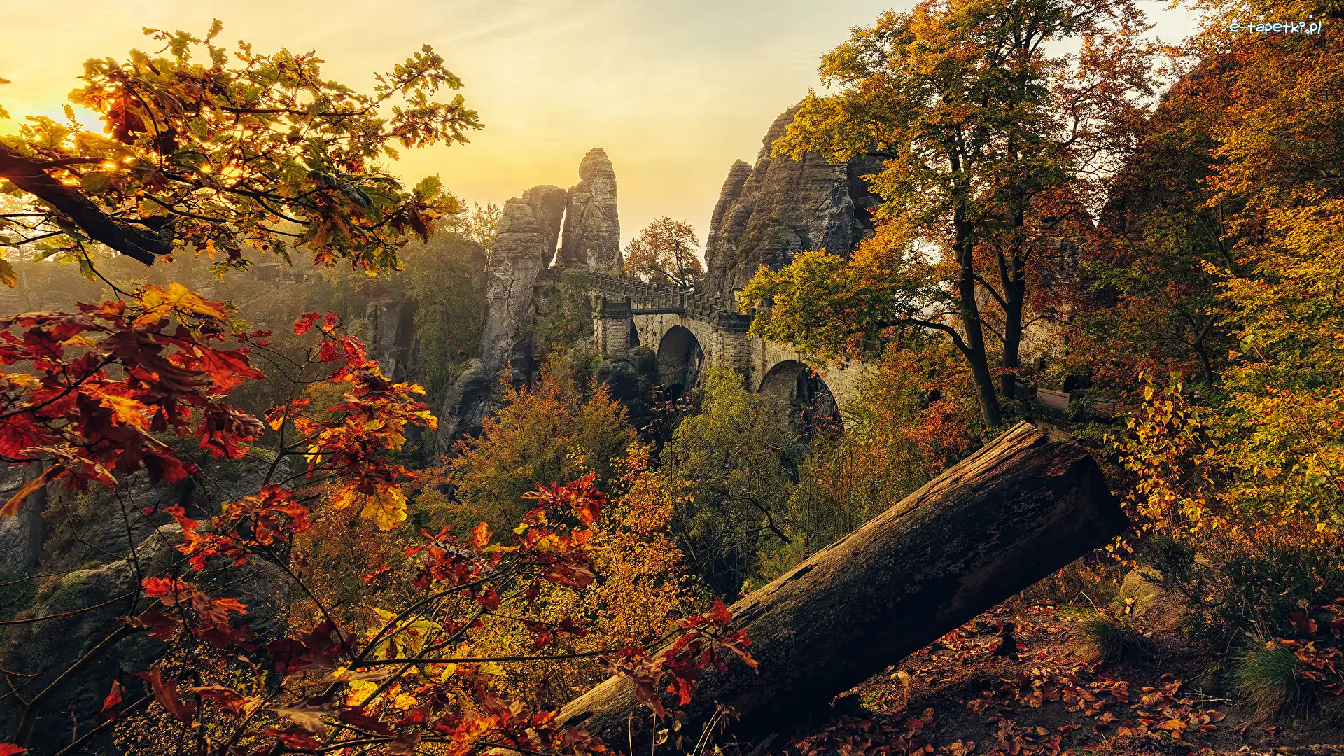 Formacja skalna, Drzewa, Niemcy, Park Narodowy Saskiej Szwajcarii, Skały, Bastei, Góry Połabskie, Jesień