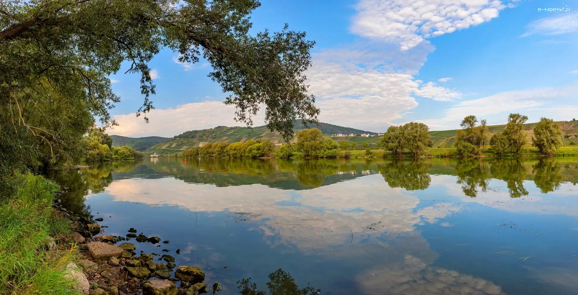 Drzewa, Odbicie, Wzgórza, Rzeka
