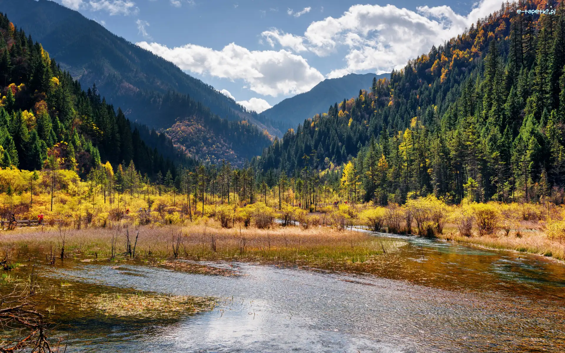 Jesień, Krzewy, Lasy, Rzeka, Góry, Chiny, Park Narodowy Jiuzhaigou, Drzewa, Roślinność