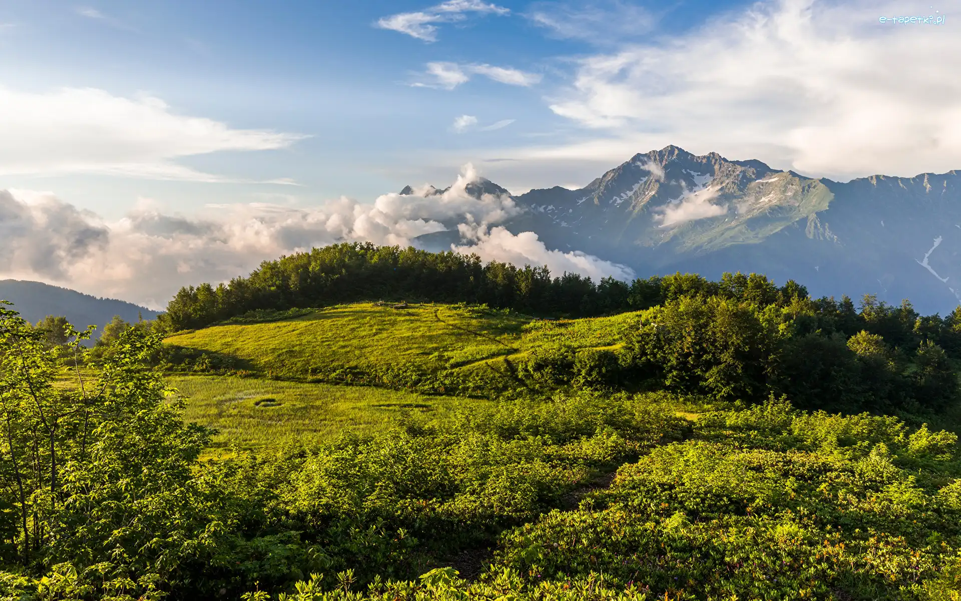 Krasnaja Polana, Góry, Drzewa, Góra, Rosja, Mount Chugush, Wzgórze, Kraj Krasnodarski, Chmury, Kaukaz, Trawa