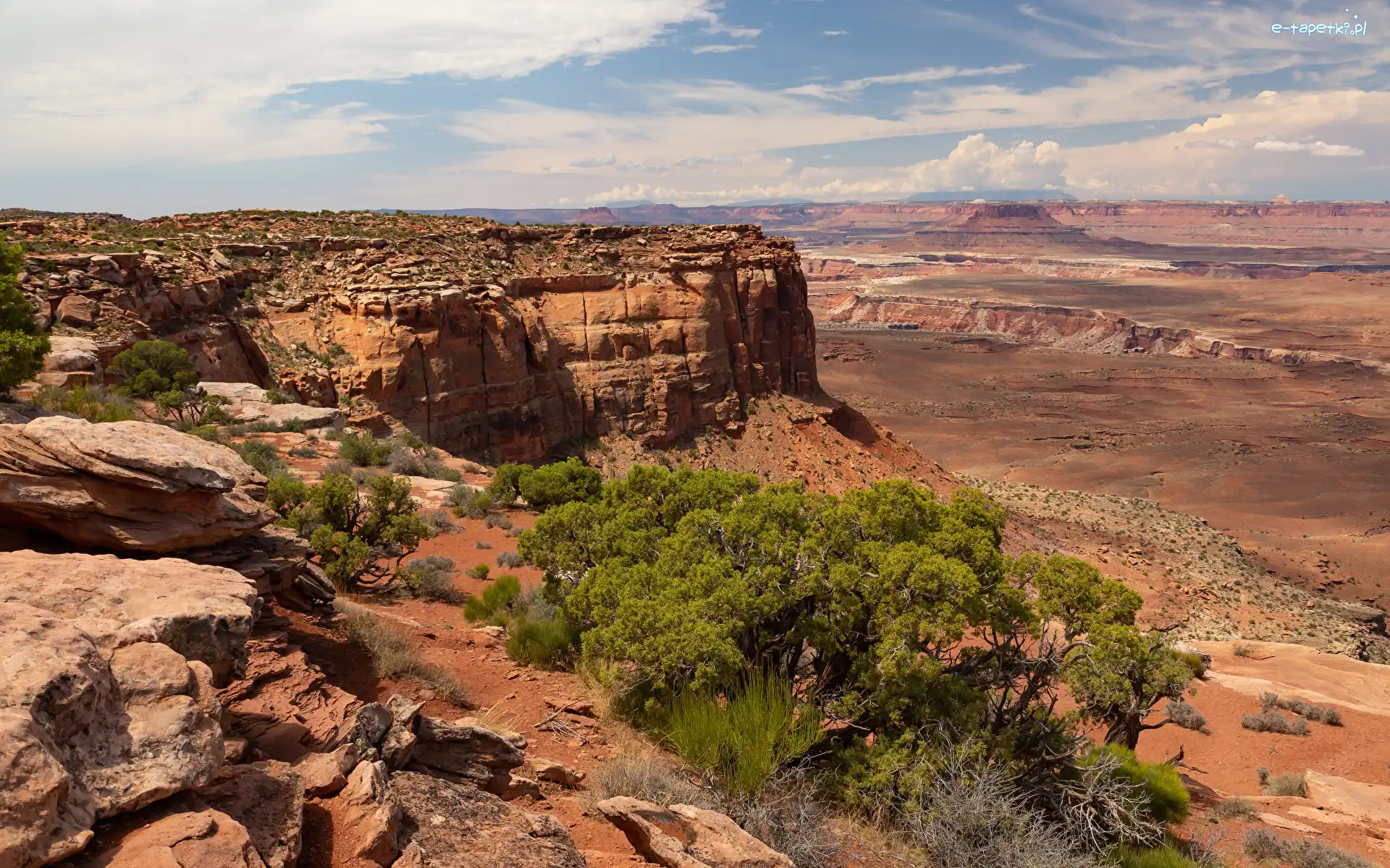 Stany Zjednoczone, Skały, Drzewa, Park Narodowy Canyonlands, Kanion, Stan Utah, Rośliny