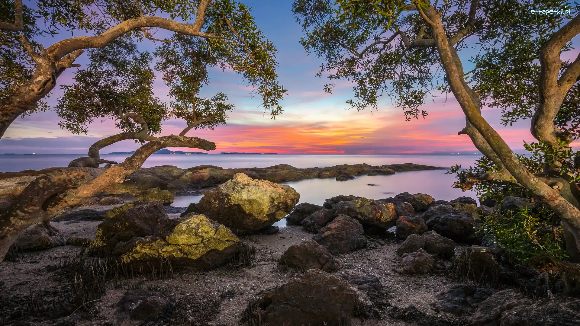 Zatoka Tajlandzka, Kamienie, Tajlandia, Prowincja Chonburi, Jezioro, Zachód słońca, Pattaya, Drzewa