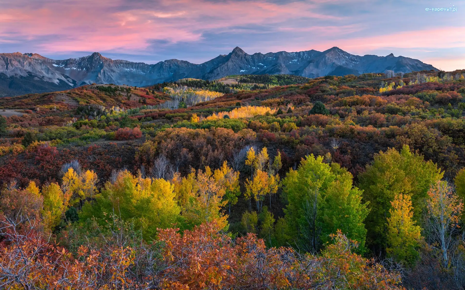 San Juan Mountains, Stany Zjednoczone, Roślinność, Telluride, Krzewy, Las, Góry, Drzewa, Jesień, Stan Kolorado, Kolorowa