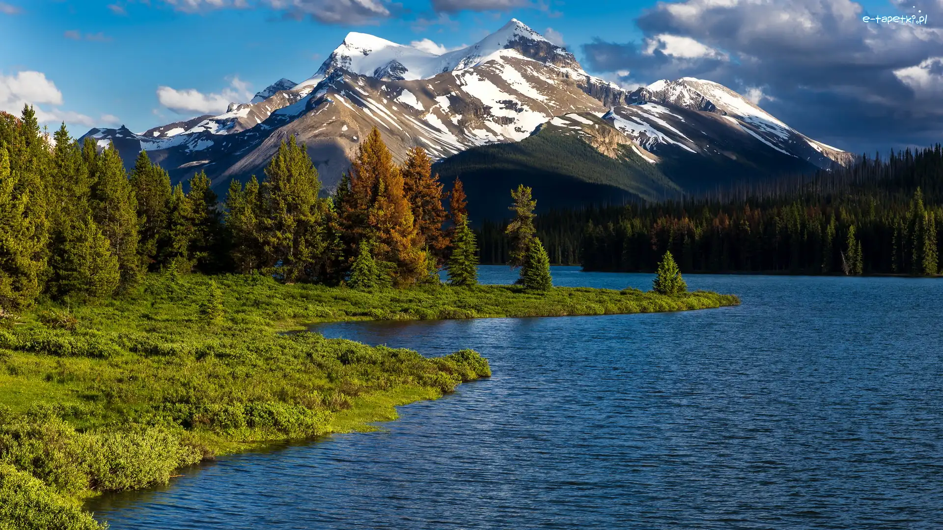 Kanada, Jezioro, Maligne Lake, Góry, Park Narodowy Jasper, Prowincja Alberta, Drzewa