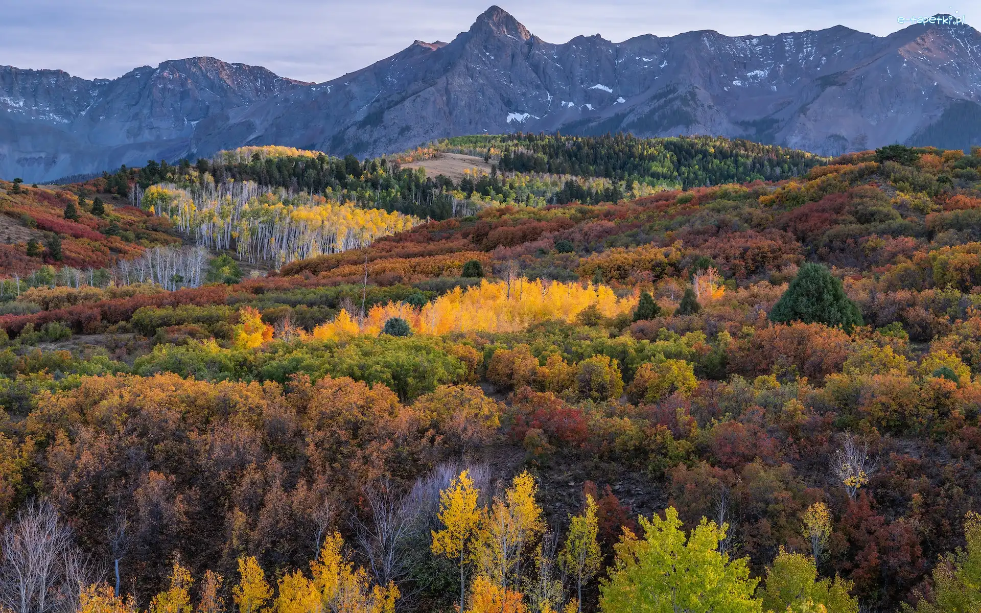 Góry, Jesień, Telluride, Stan Kolorado, Stany Zjednoczone, Krzewy, Drzewa, Las, San Juan Mountains