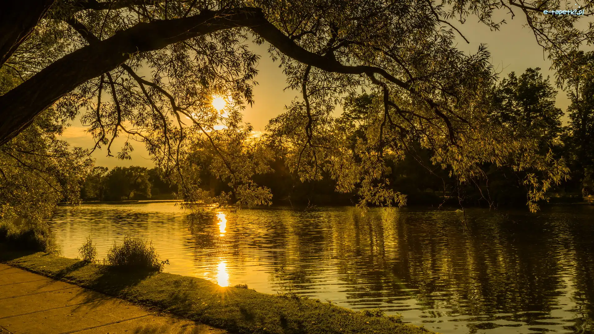 Jezioro, Wschód słońca, Drzewa, Park