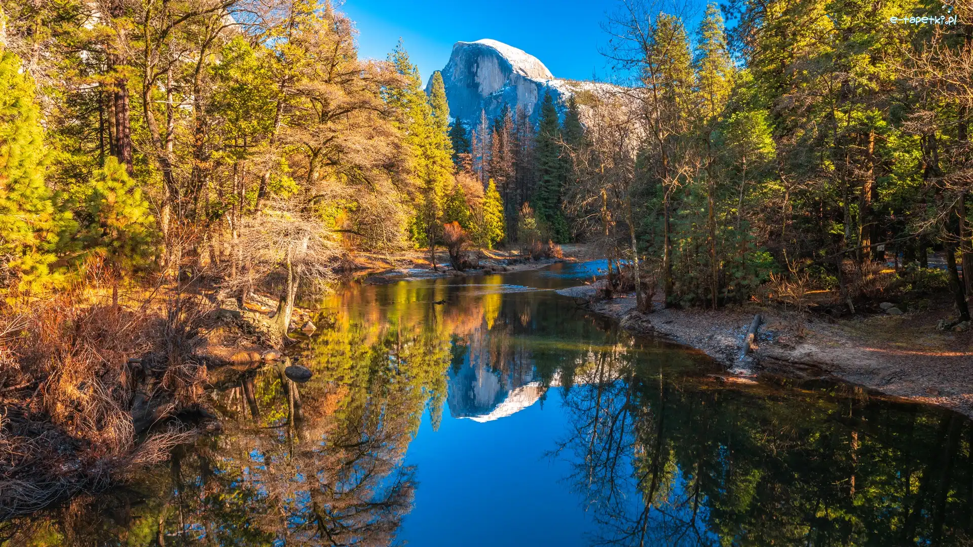 Drzewa, Park Narodowy Yosemite, Jesień, Stan Kalifornia, Stany Zjednoczone, Rzeka Merced, Góry