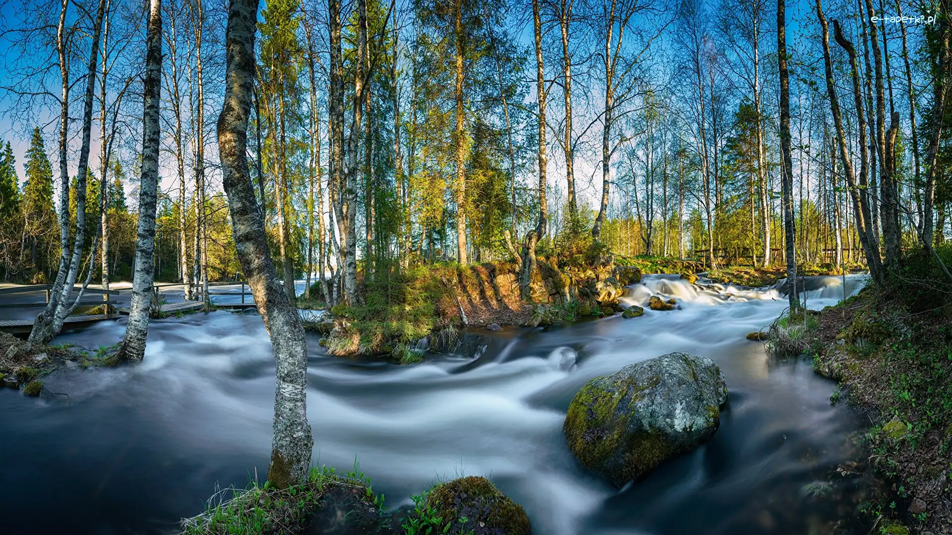 Most, Skały, River Kitkajoki, Rzeka, Rwąca, Finlandia, Laponia, Brzozy, Park Narodowy Oulanka