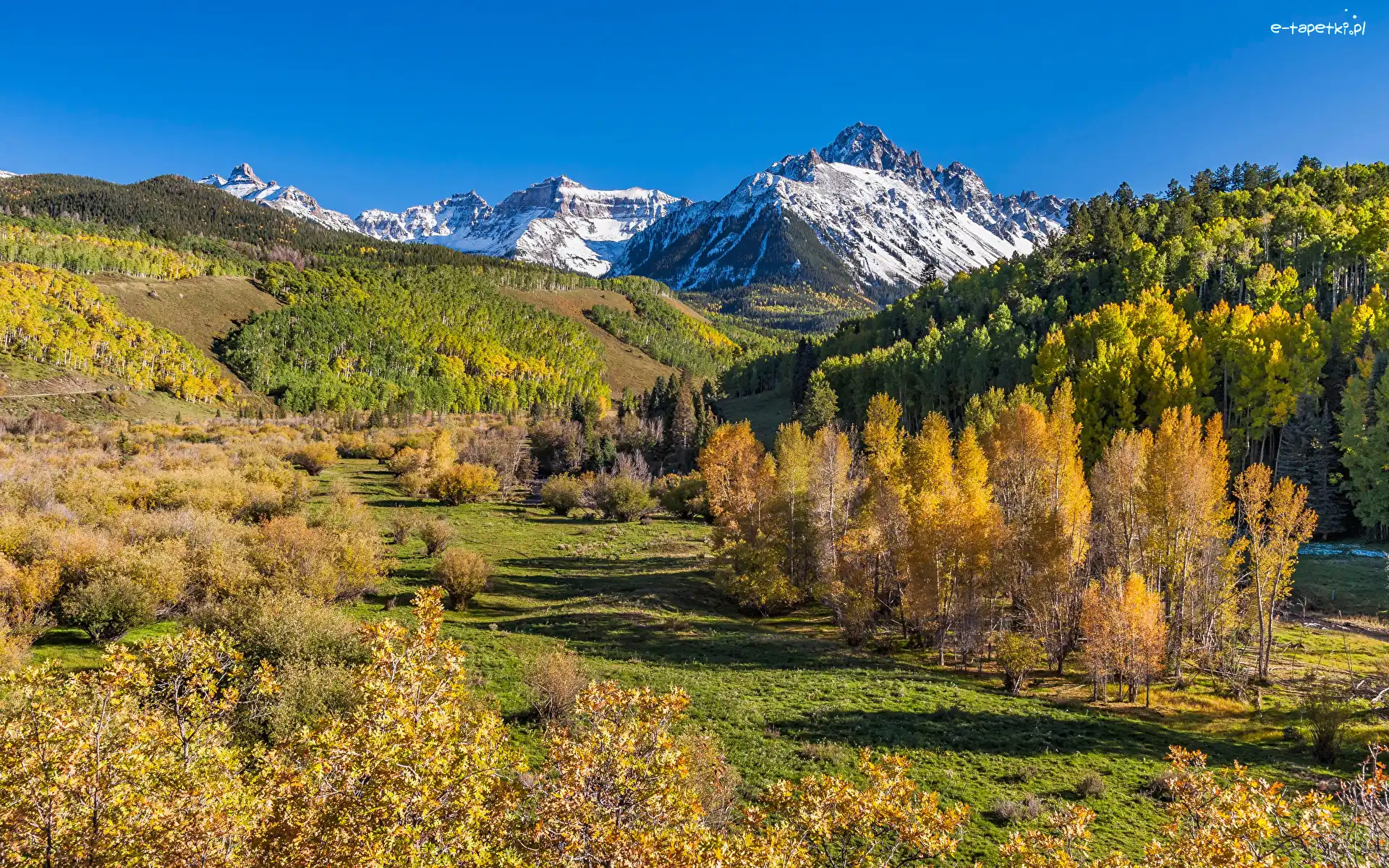 Jesień, Drzewa, Góra Mount Sneffels, San Juan Mountains, Góry, Stany Zjednoczone, Kolorado, Lasy, Polana
