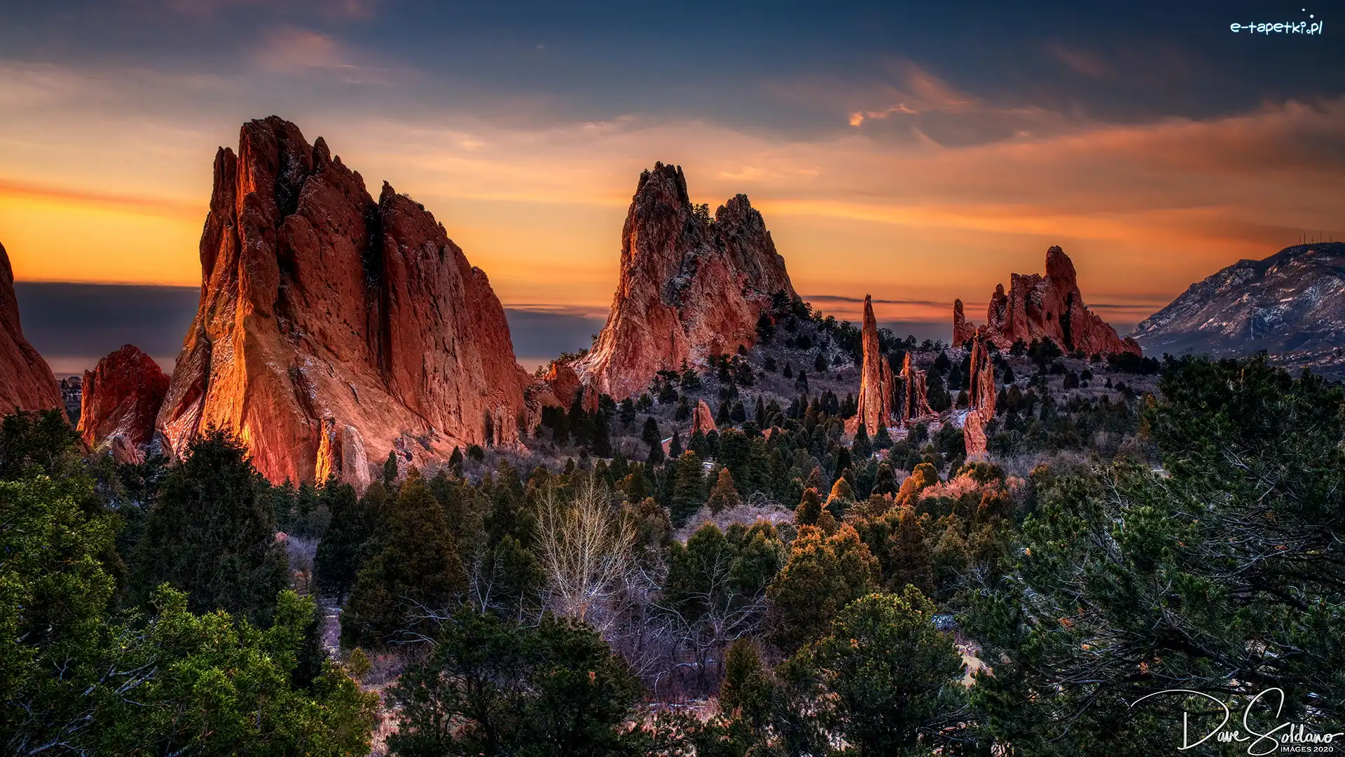 Garden of the Gods, Park, Drzewa, Skały, Wschód słońca, Stany Zjednoczone, Kolorado, Formacje skalne, Colorado Springs