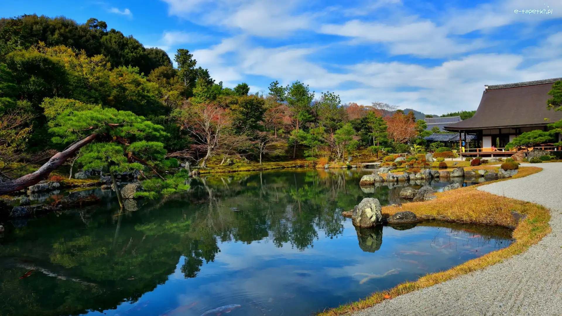 Japonia, Drzewa, Świątynia, Ogród, Staw, Kioto, Tenryu-ji