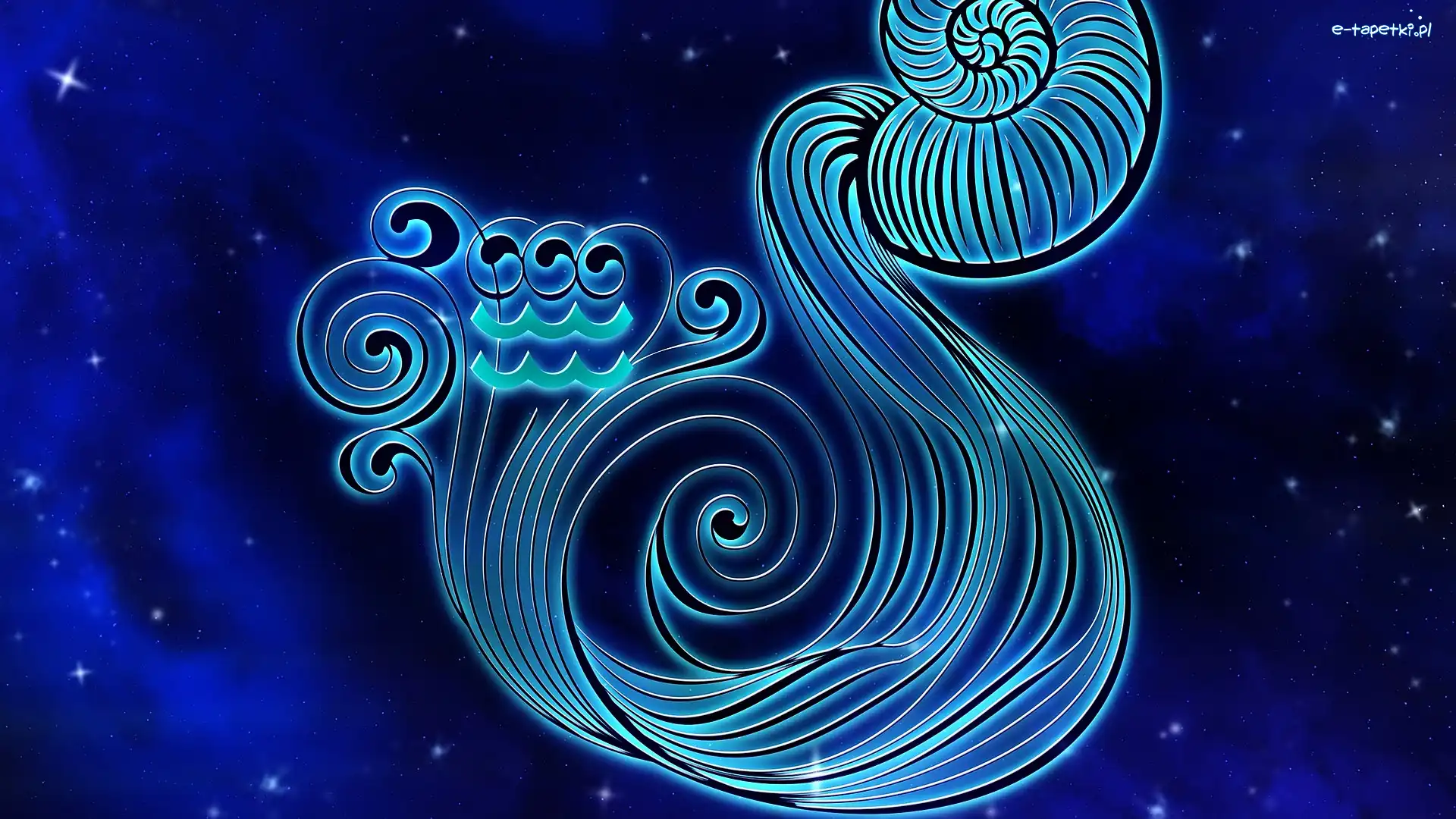 Wodnik, Znak zodiaku