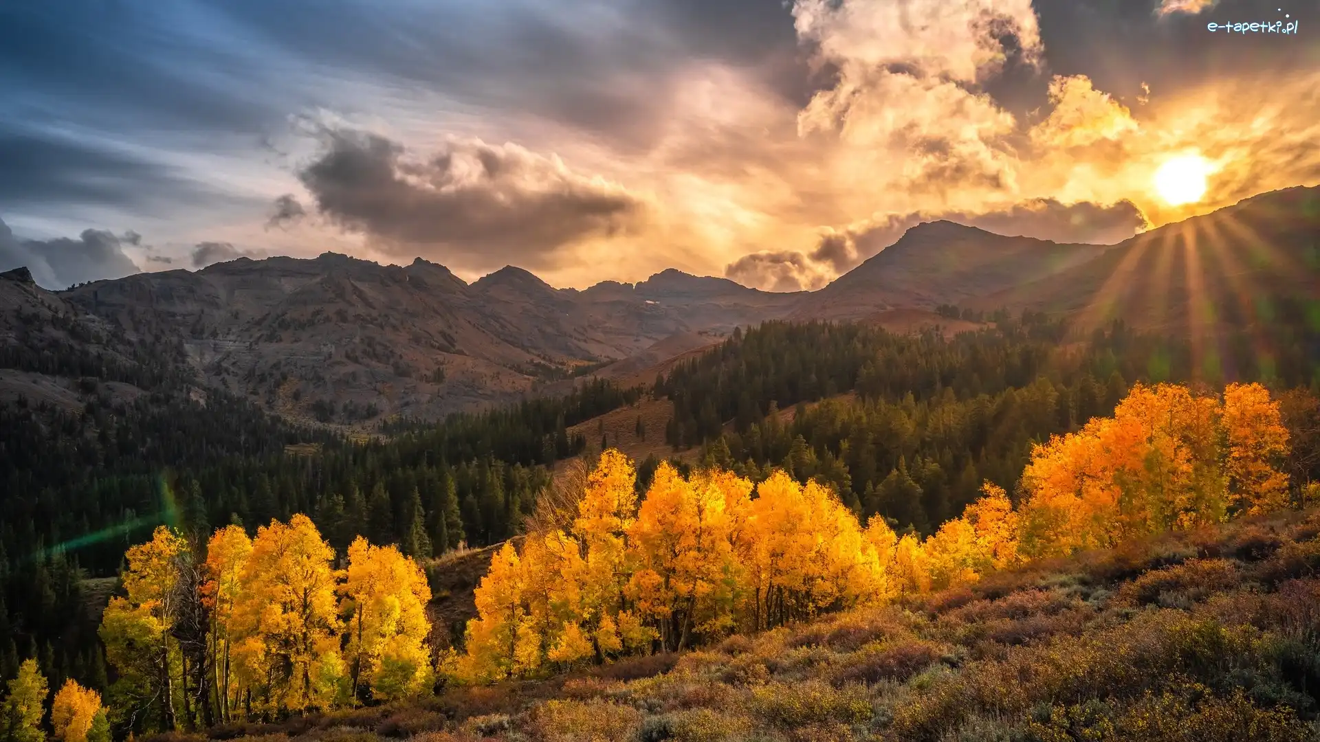 Drzewa, Kalifornia, Promienie słońca, Chmury, Sonora Pass, Jesień, Góry, Stany Zjednoczone, Region Eastern Sierra, Słońce