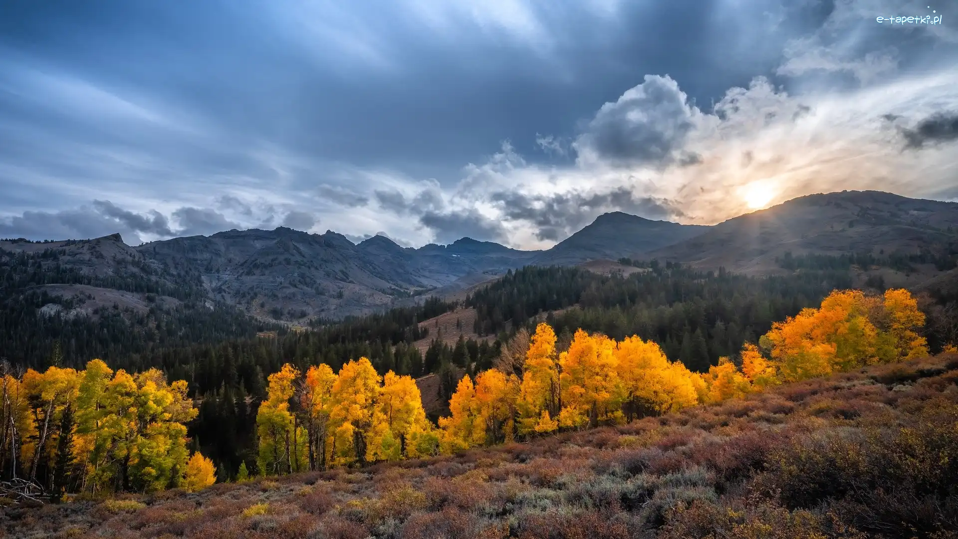 Stany Zjednoczone, Rośliny, Drzewa, Góry, Jesień, Sonora Pass, Eastern Sierra, Słońce, Kalifornia