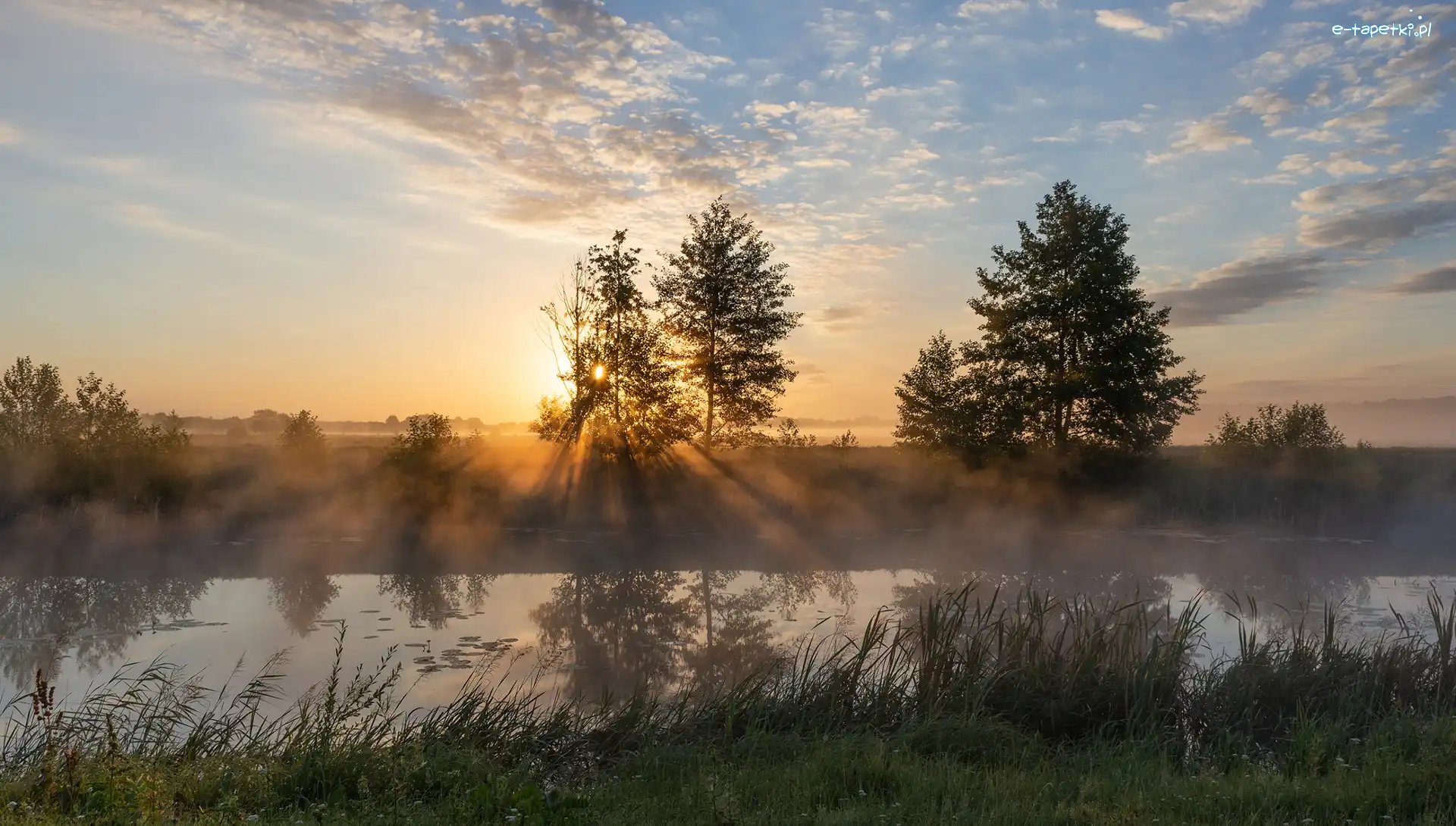 Przebijające światło, Drzewa, Rzeka