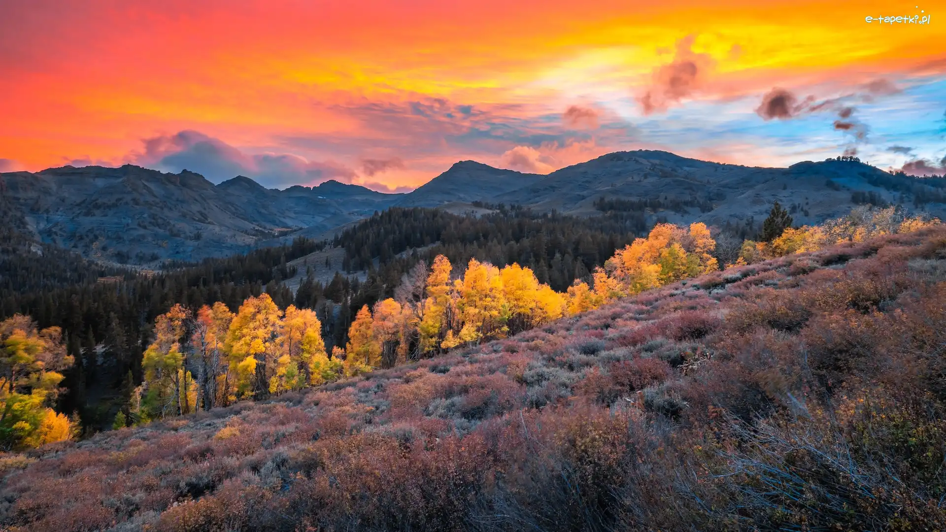 Góry, Sonora Pass, Region, Kalifornia, Stany Zjednoczone, Jesień, Zachód słońca, Eastern Sierra, Drzewa