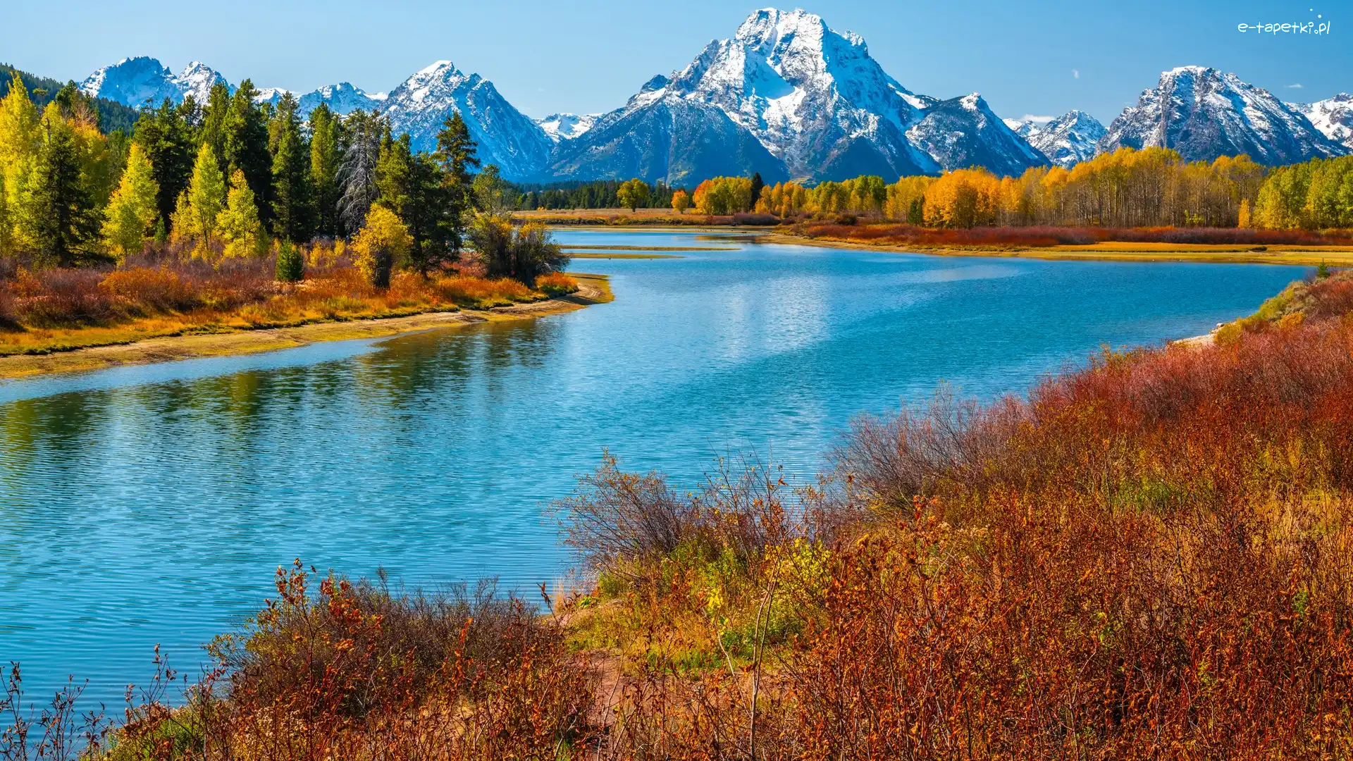 Jesień, Rzeka, Stany Zjednoczone, Trawy, Góry, Teton Range, Drzewa, Park Narodowy Grand Teton, Snake River, Stan Wyoming