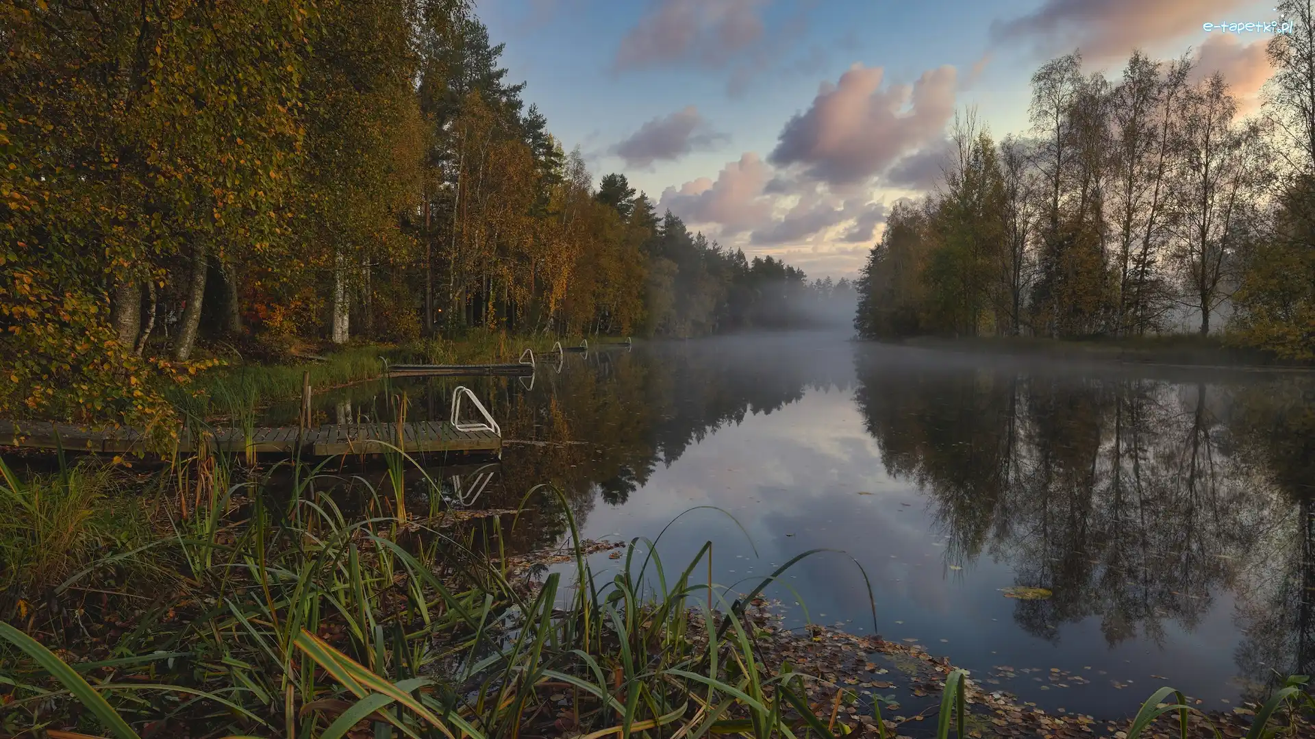 Szuwary, Mgła, Drzewa, Jezioro, Jesień, Pomosty, Las