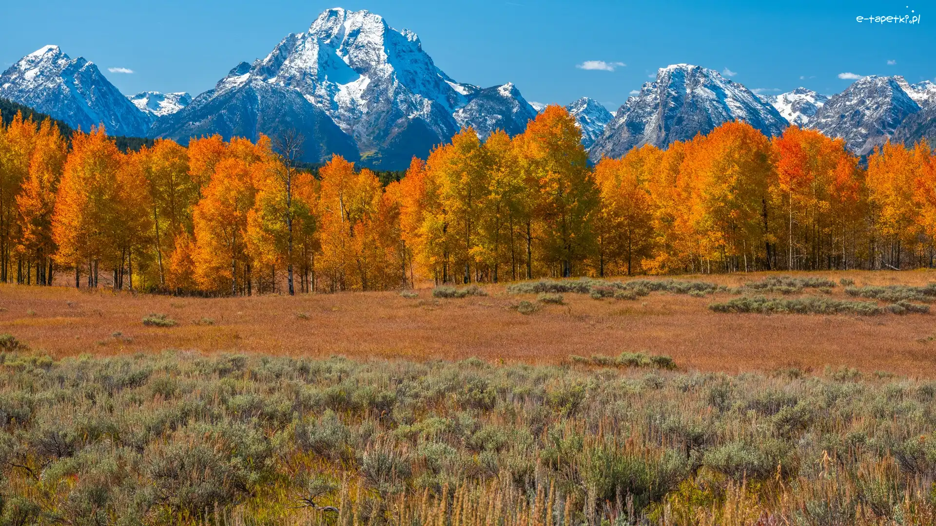 Teton Range, Park Narodowy Grand Teton, Stany Zjednoczone, Stan Wyoming, Góry, Pożółkłe, Drzewa, Jesień