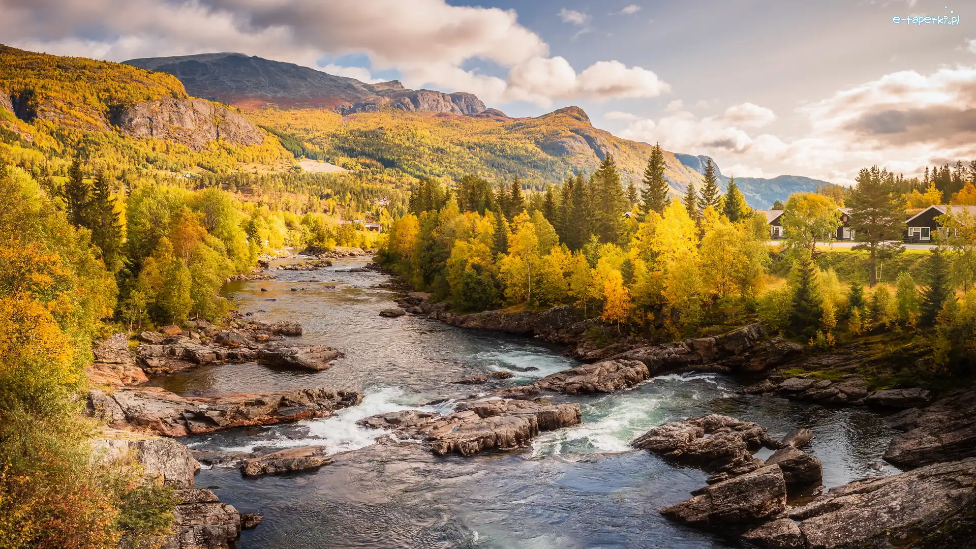 Las, Góry, Norwegia, Region Buskerud, Drzewa, Rzeka, Gmina Hemsedal, Jesień