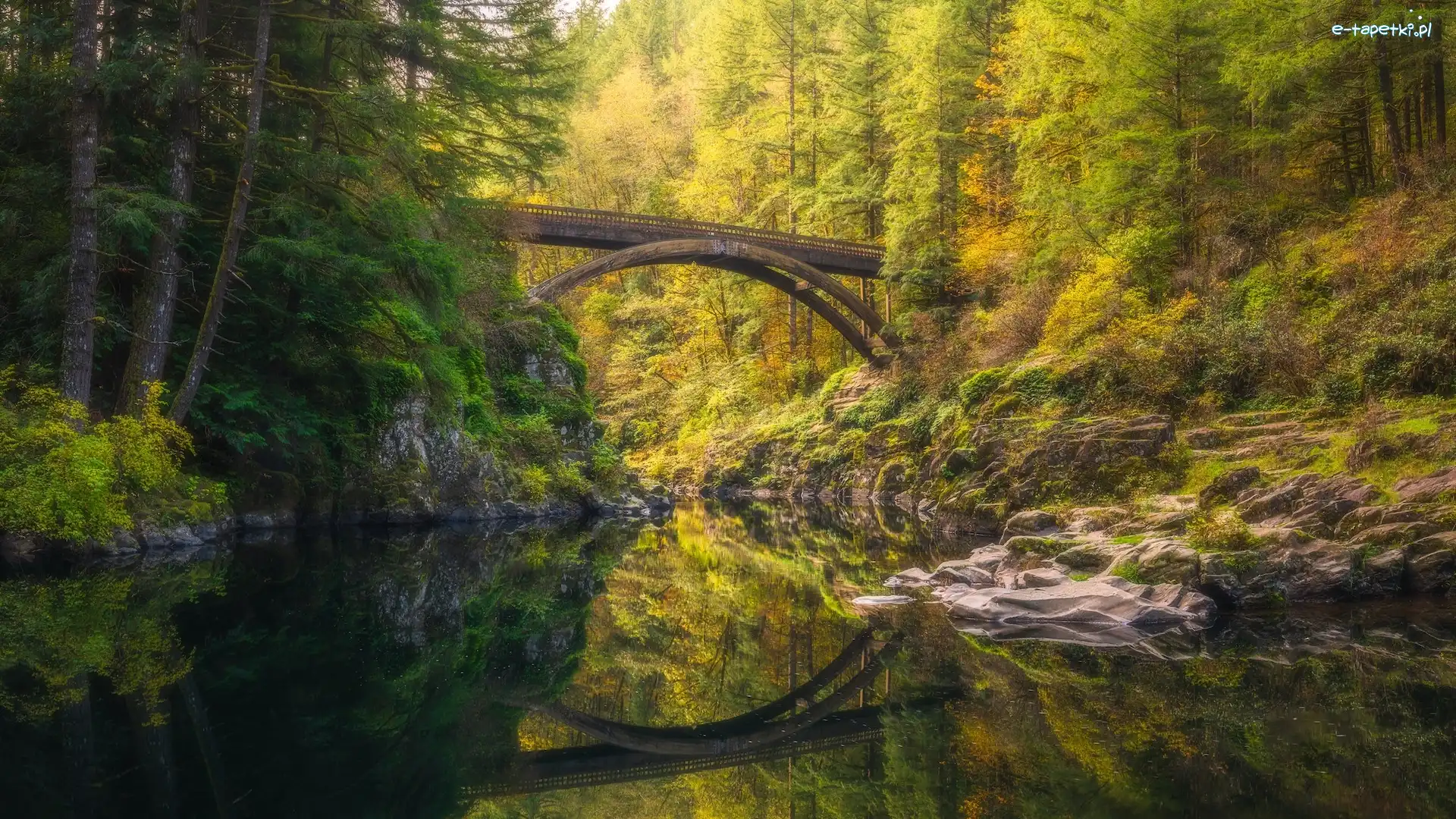 Most, Rzeka, Stany Zjednoczone, Stan Waszyngton, Lewis River, Moulton Falls Bridge, Skały, Las