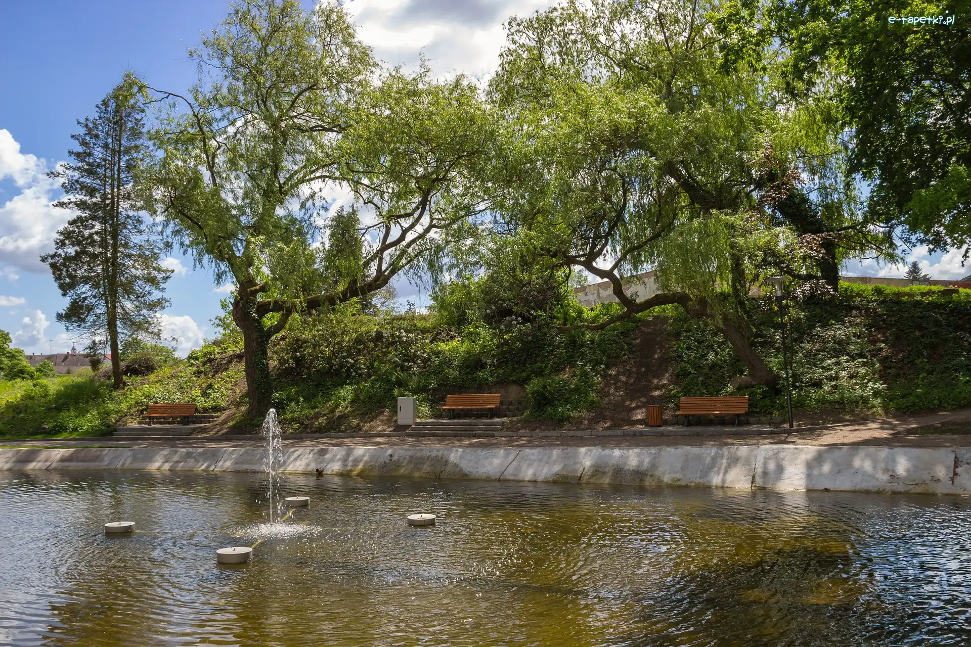 Fontanna, Drzewa, Ławki, Park