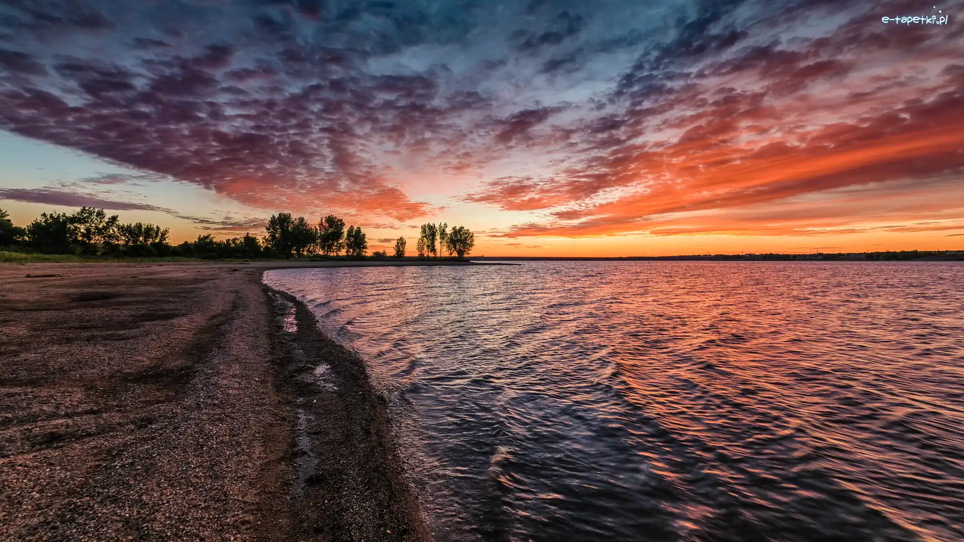 Kolorado, Drzewa, Wschód słońca, Stany Zjednoczone, Chatfield Lake, Jezioro