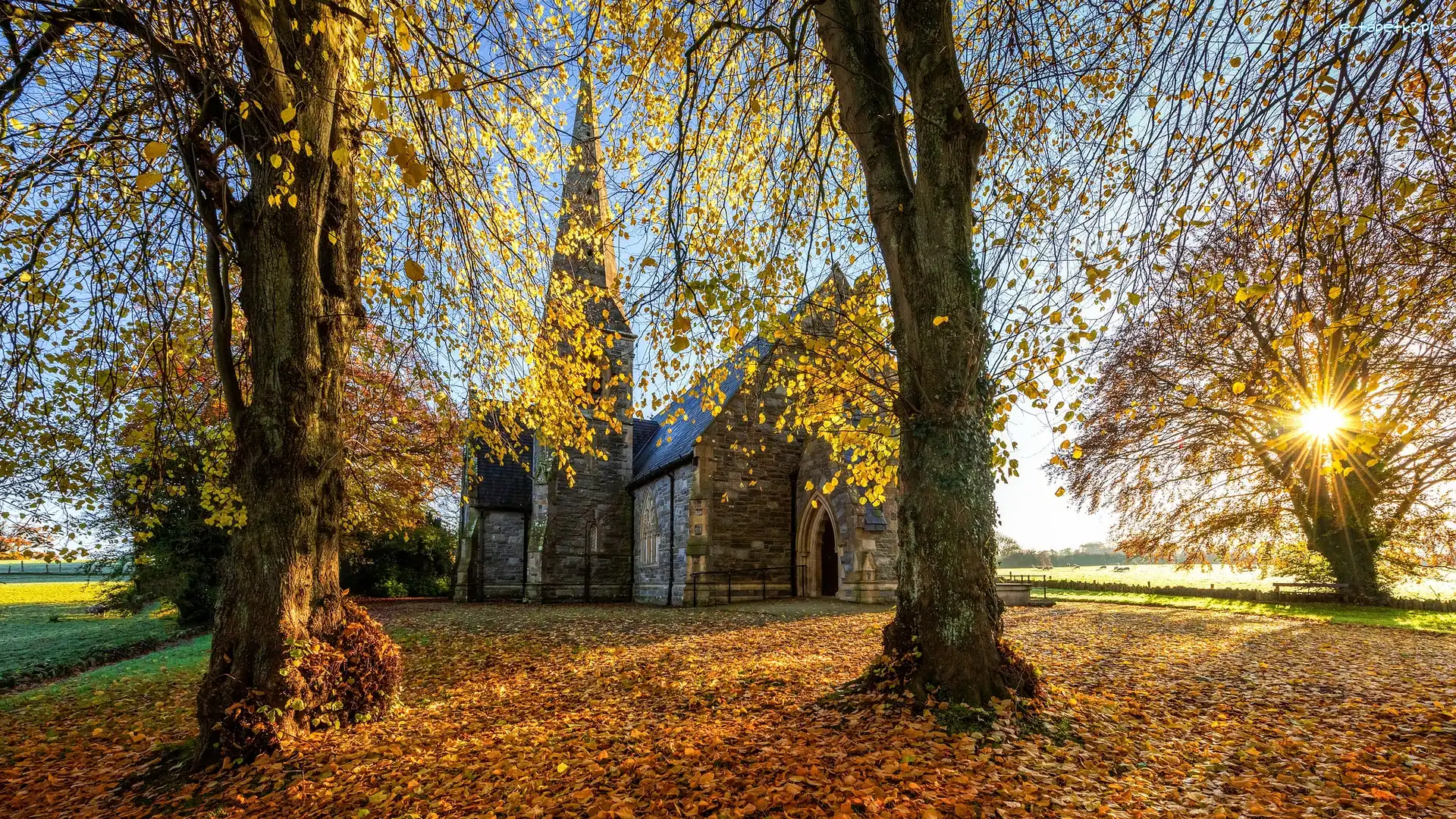 Promienie słońca, Strabane, Kościół, Hrabstwo Tyrone, Irlandia Północna, Drzewa, Jesień