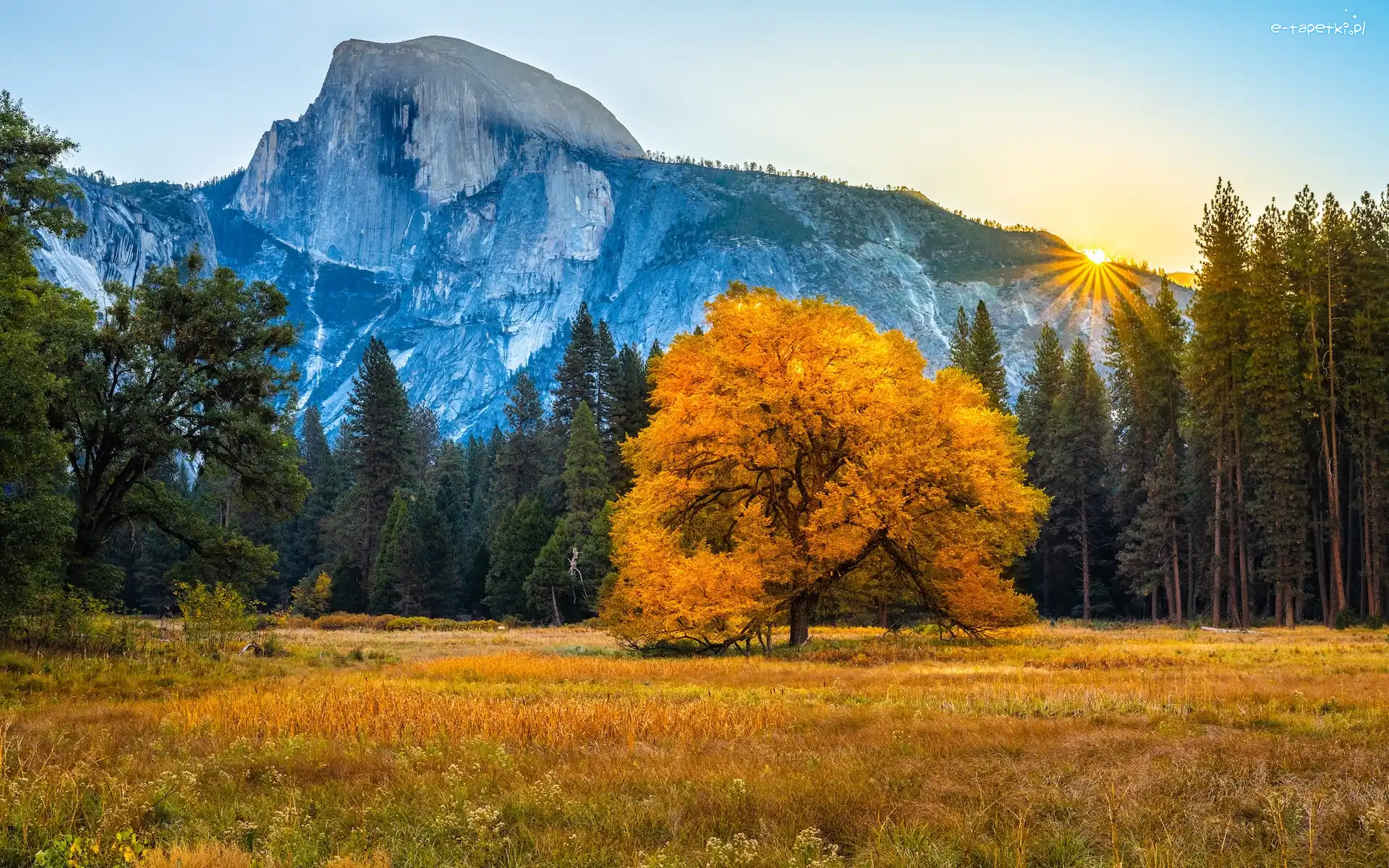 Drzewa, Park Narodowy Yosemite, Stany Zjednoczone, Stan Kalifornia, Góry, Las, Promienie słońca, Jesień