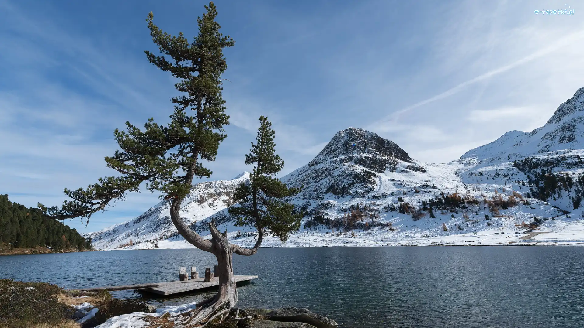 Obersee, Drzewo, Pomost, Ośnieżone, Niemcy, Góry, Jezioro, Bawaria, Alpy, Sosna, Park Narodowy Berchtesgaden