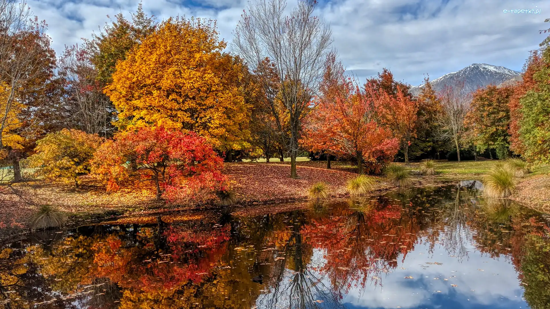 Park, Drzewa, Staw, Jesień, Góry