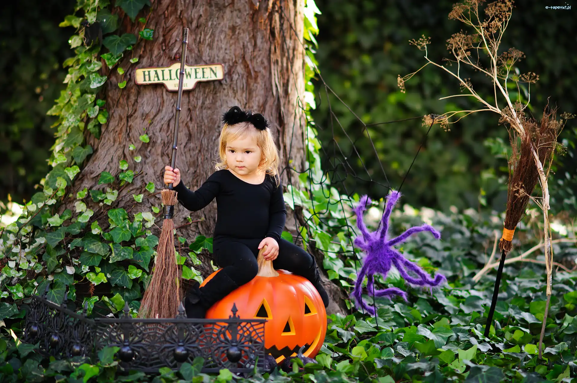 Dziewczynka, Park, Pająk, Pajęczyna, Drzewo, Dynia, Miotła, Halloween