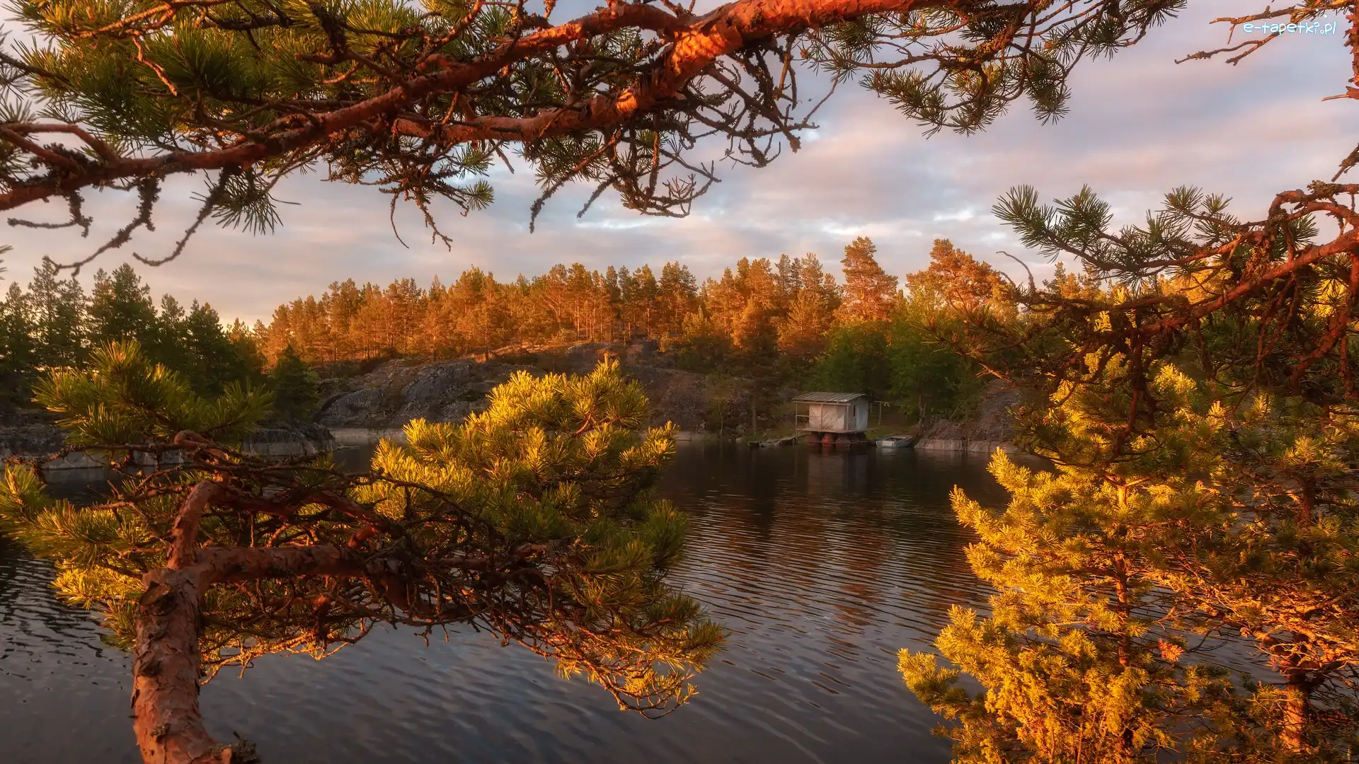 Jezioro Ładoga, Jesień, Drzewa, Rosja, Chmury