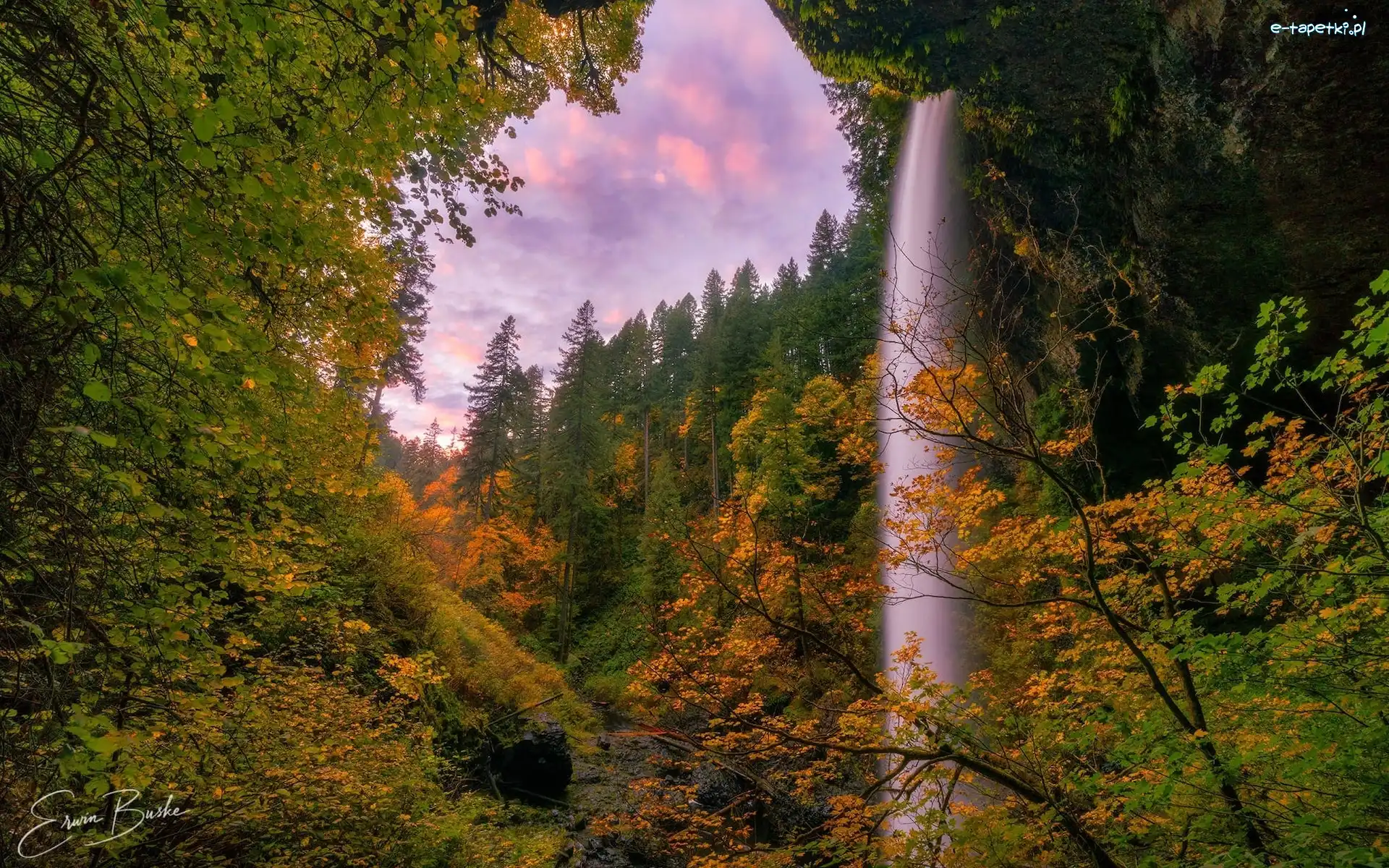 Park stanowy Silver Falls, South Falls, Stany Zjednoczone, Roślinność, Drzewa, Skały, Jesień, Wodospad, Las, Stan Oregon