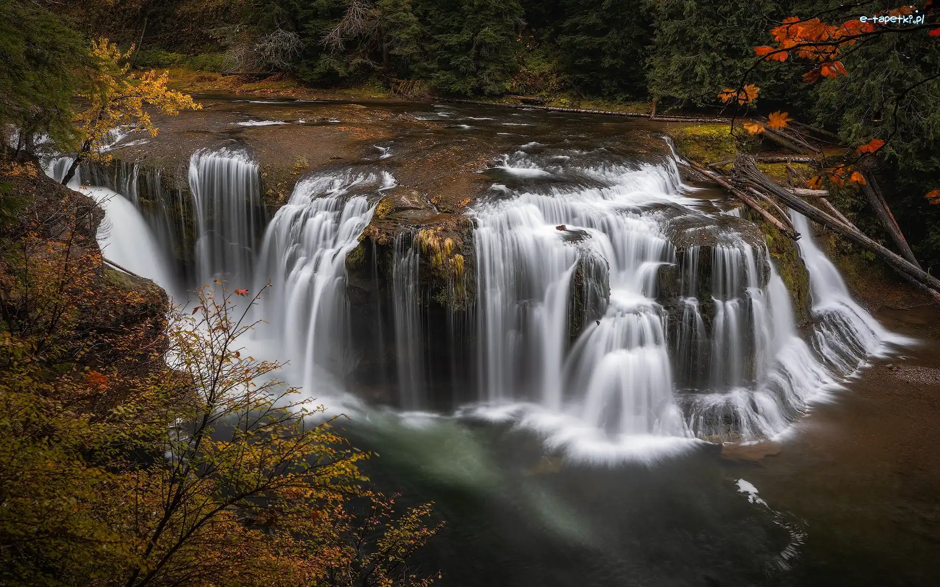 Wodospad, Rzeka, Stany Zjednoczone, Stan Waszyngton, Lewis River, Lower Lewis River Falls, Gifford Pinchot National Forest, Las