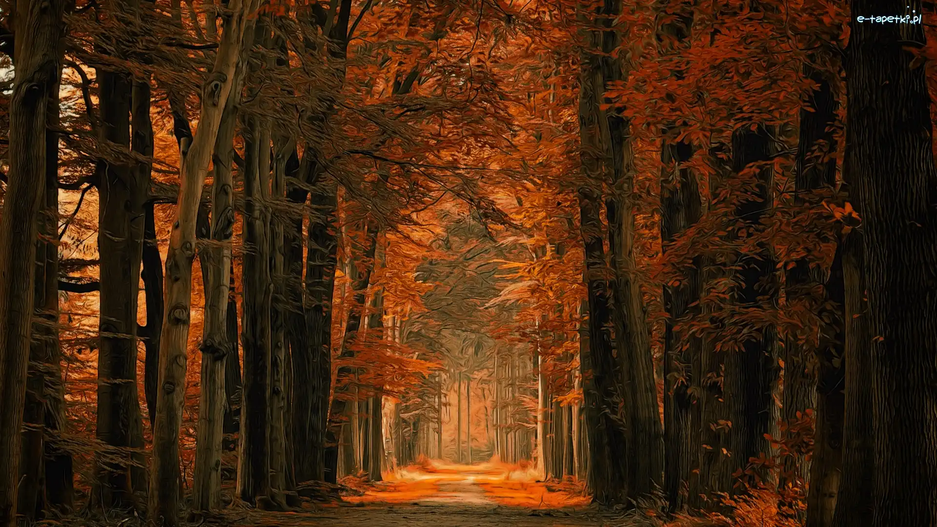 Liście, Droga, Jesień, Grafika, Drzewa, Las